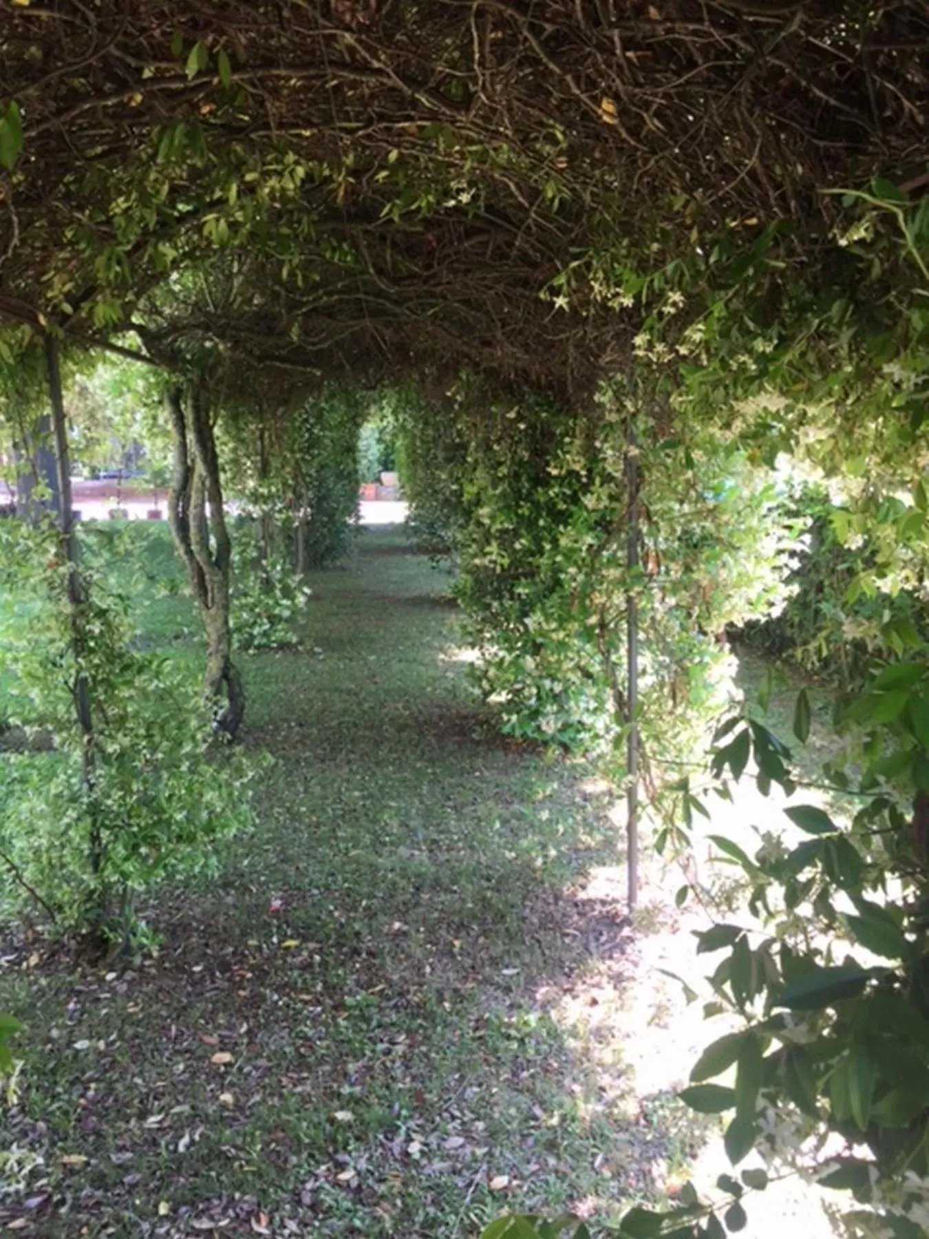 Property building, Garden in Relais Montemaggiore