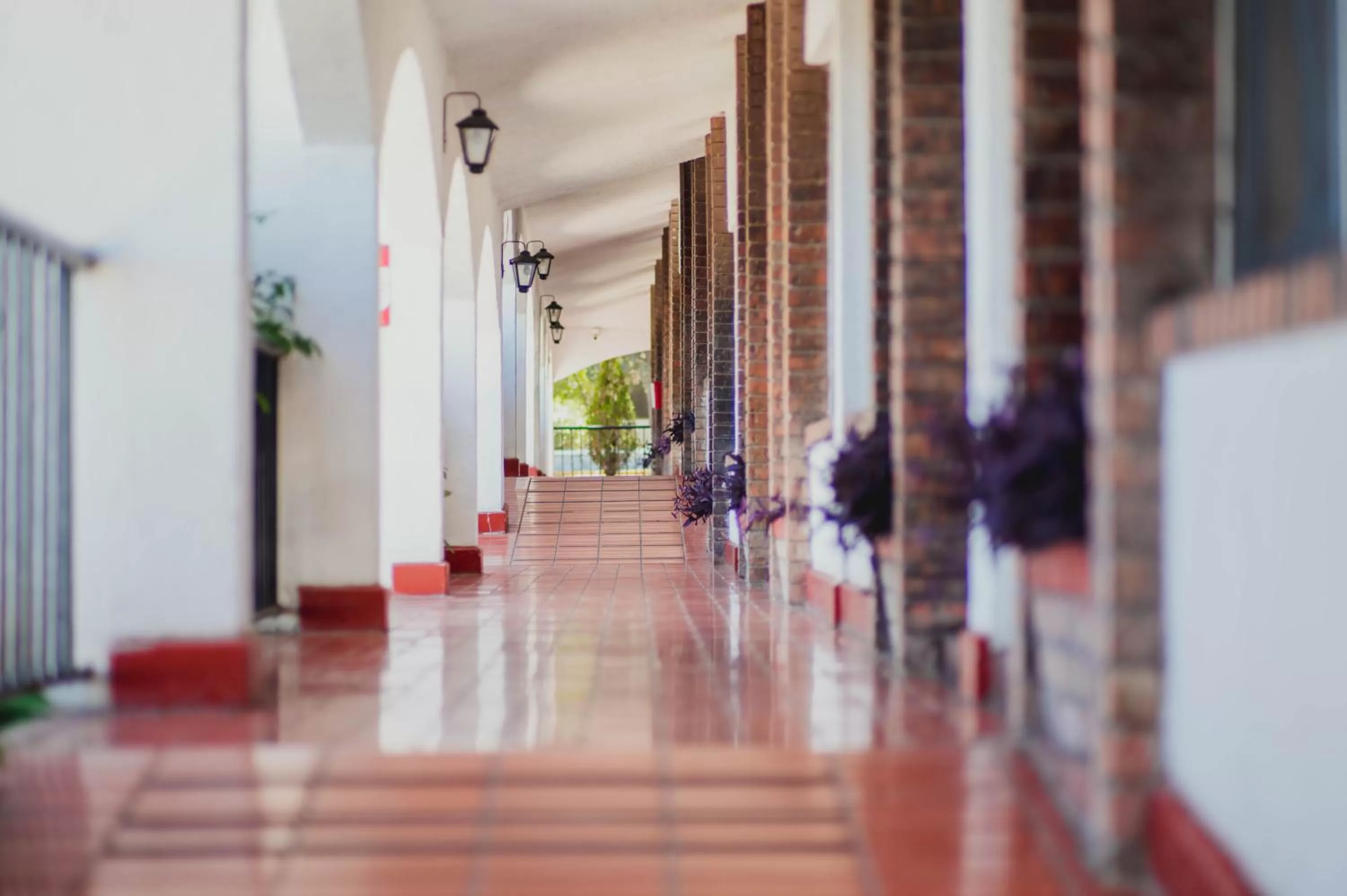 Property building in Hotel La Fuente, Saltillo