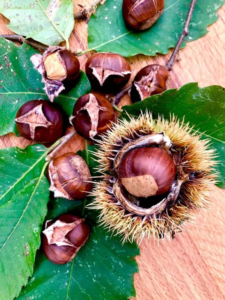 Natural landscape in Bon Chez Nous