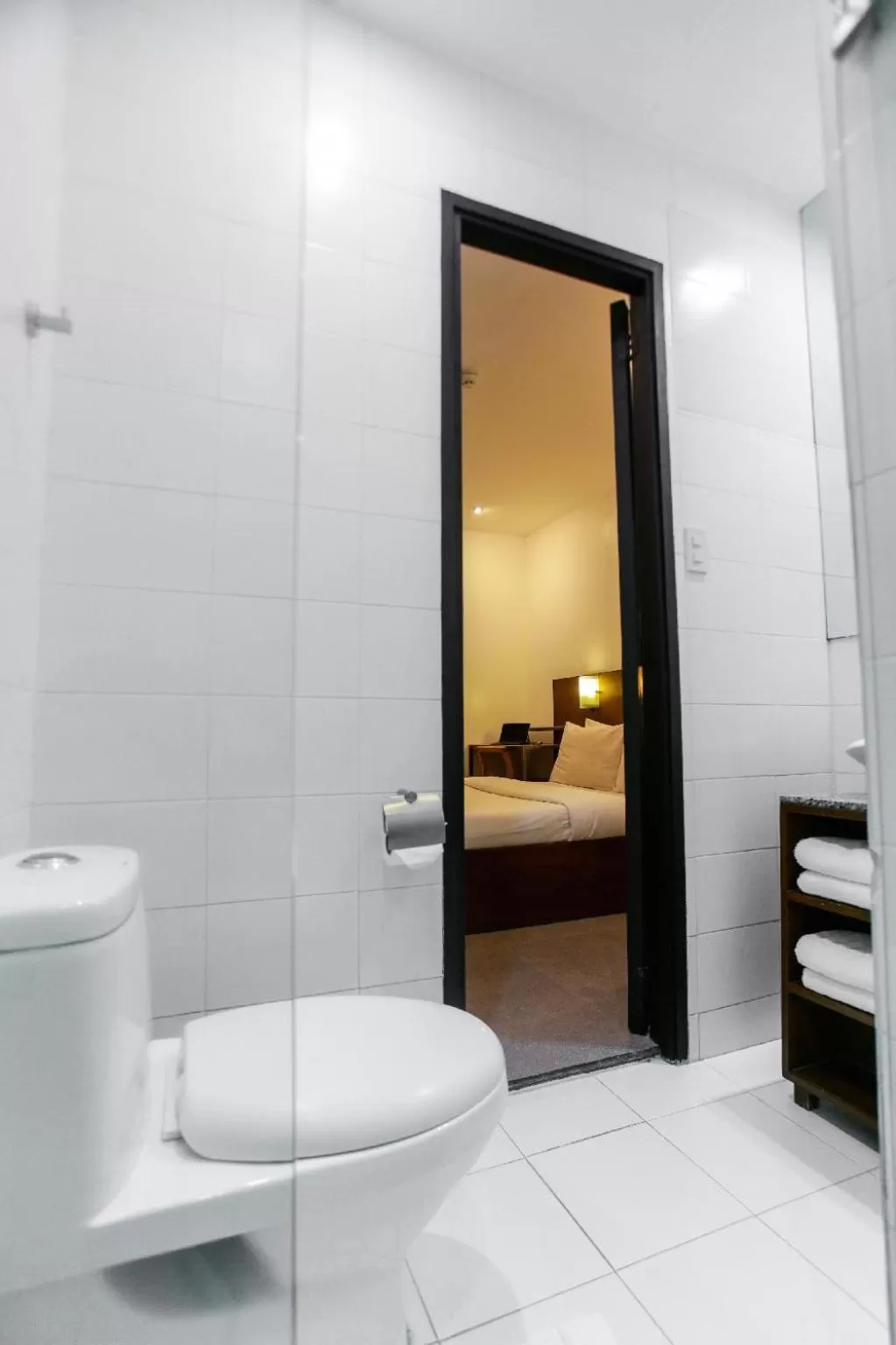 Toilet, Bed in Hotel Durban
