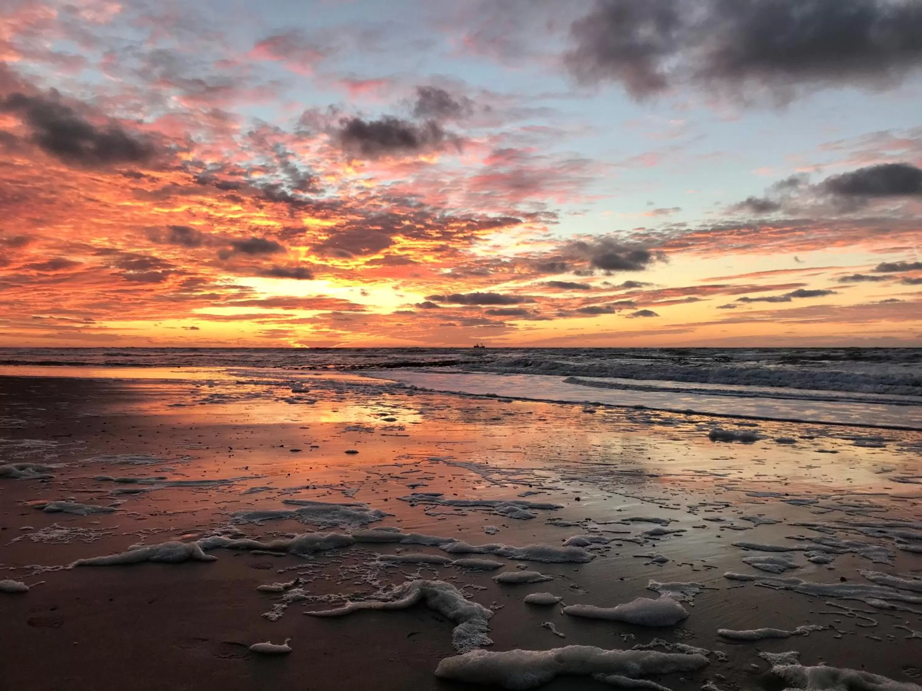 Natural landscape in Bed en Bike Strûnen op Texel