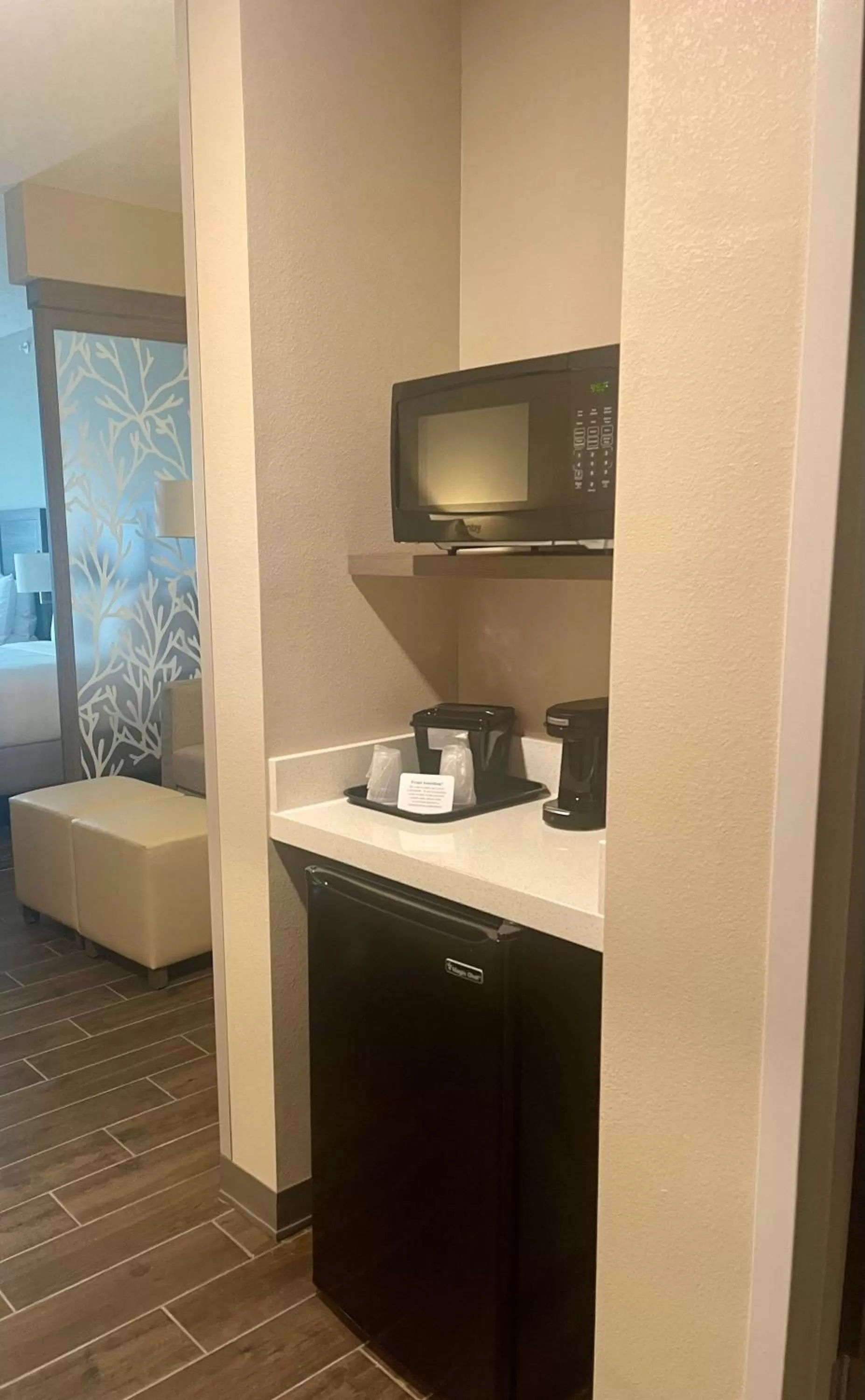 One Room Suite with Sofa bed - Disability Access/Non Smoking in Comfort Suites Orlando Lake Buena Vista