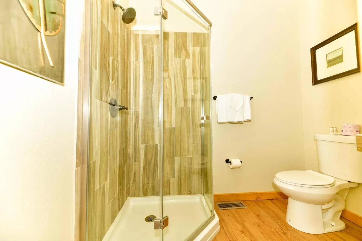 Shower in Black Forest Lodge