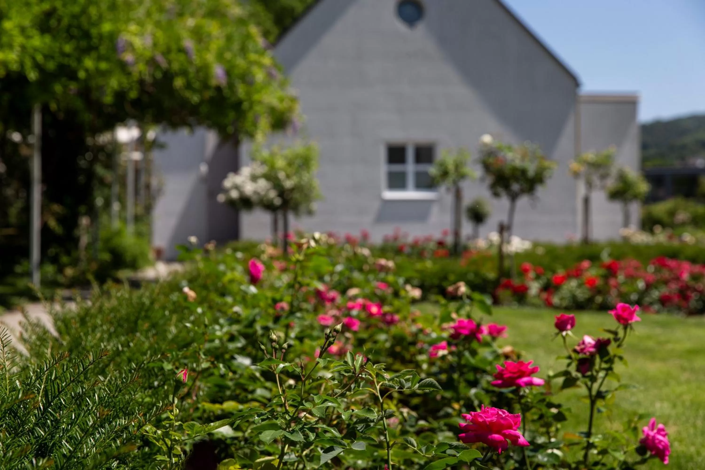 Property Building in See & Park Hotel Feldbach