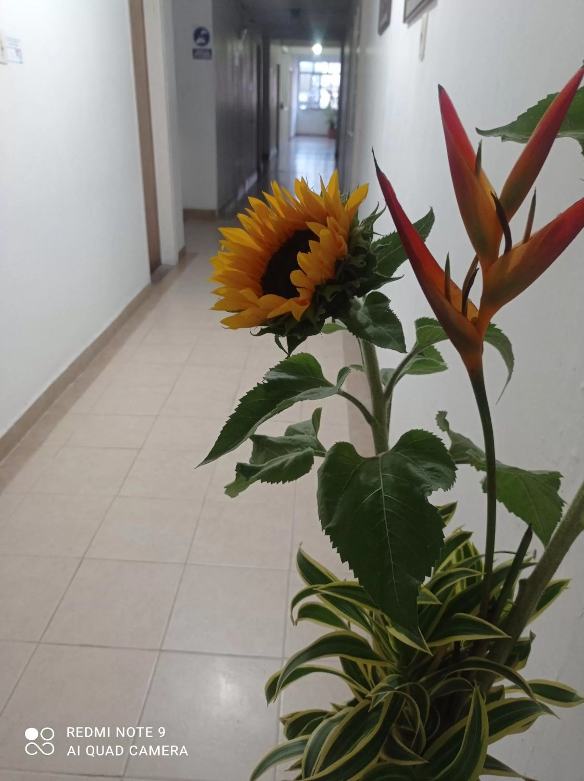 Shopping Area in Hotel Plaza Calarcá