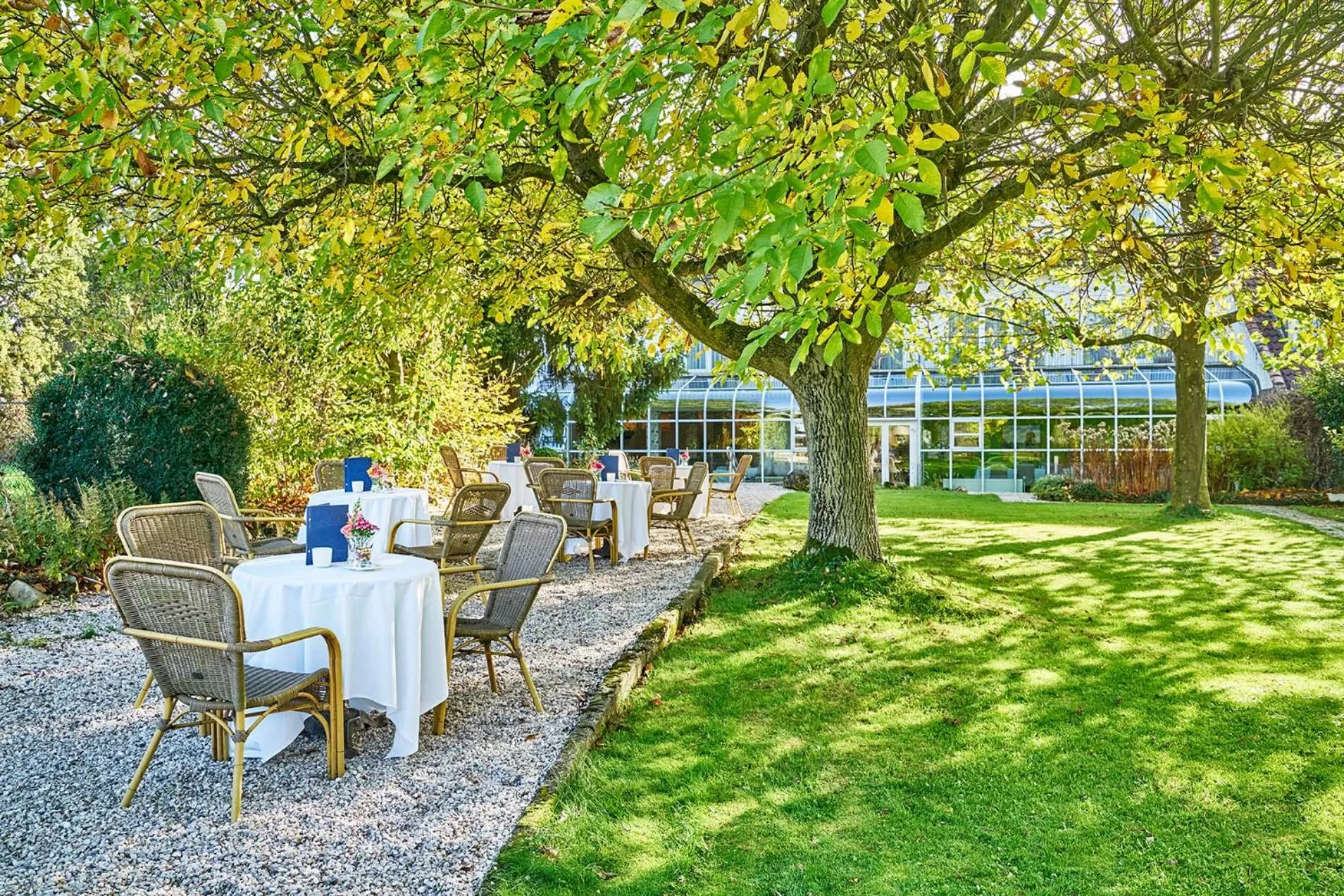 Garden in Hotel Brull