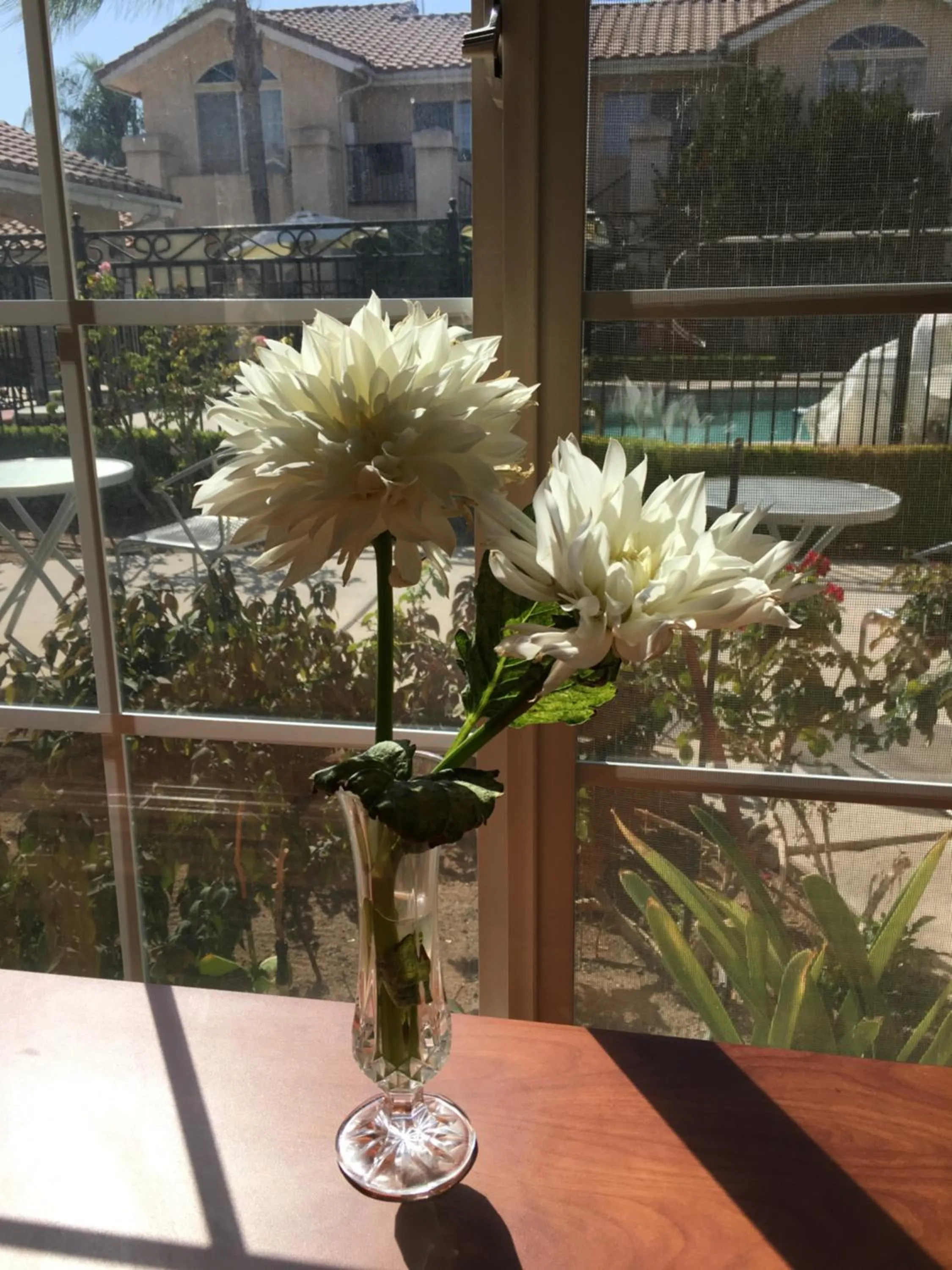 Lobby or reception in Garden Inn and Suites Fresno