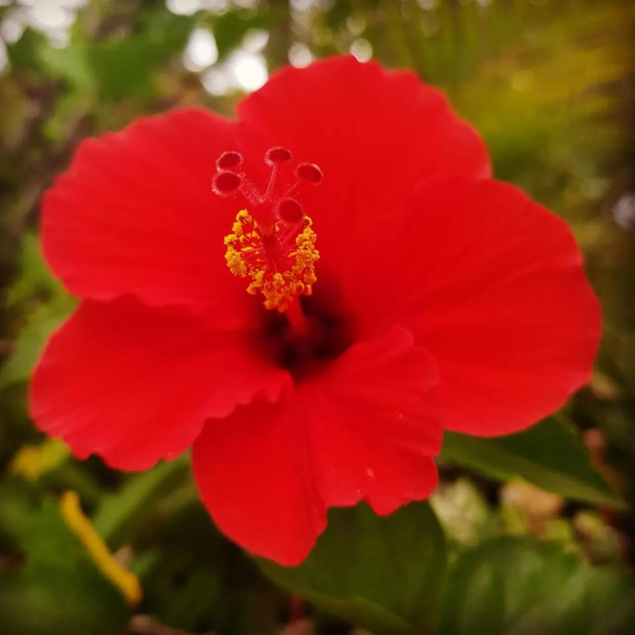 Chacara Estrela do Mar