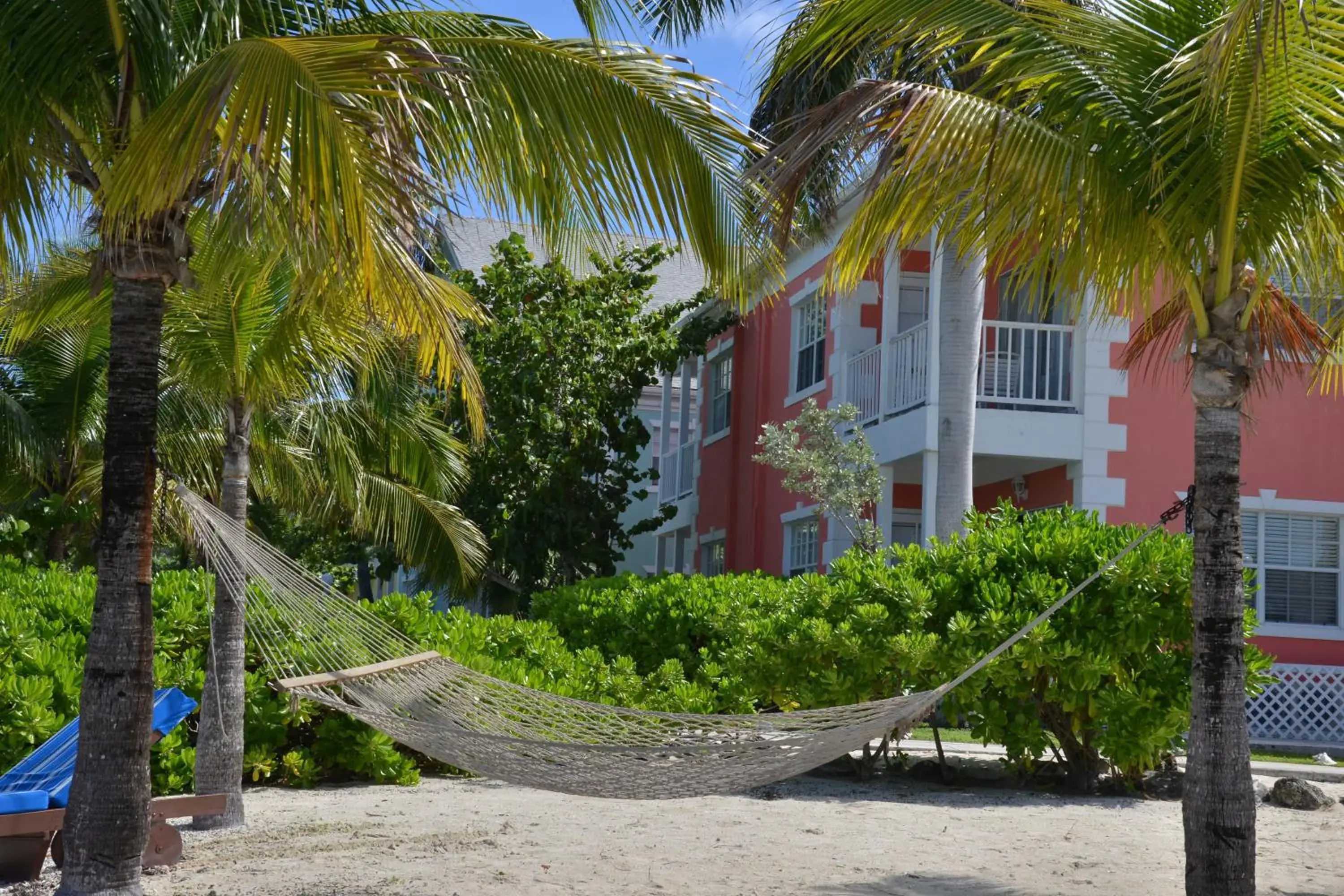 One-Bedroom Deluxe Suite in Sandyport Beach Resort One-Bedroom Deluxe Suite in Sandyport Beach Resort