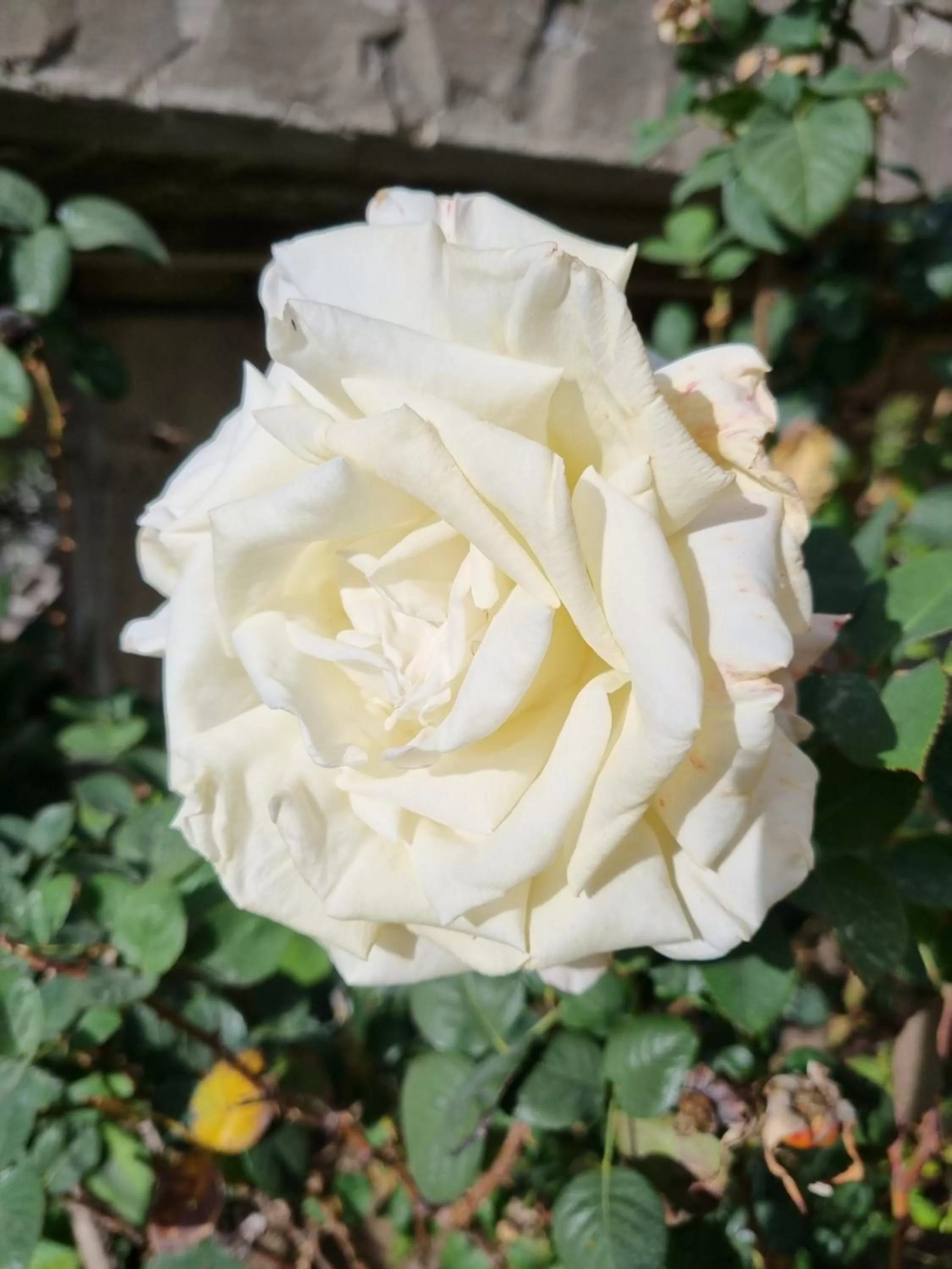 Villa Sul Molo tra Siracusa e Catania