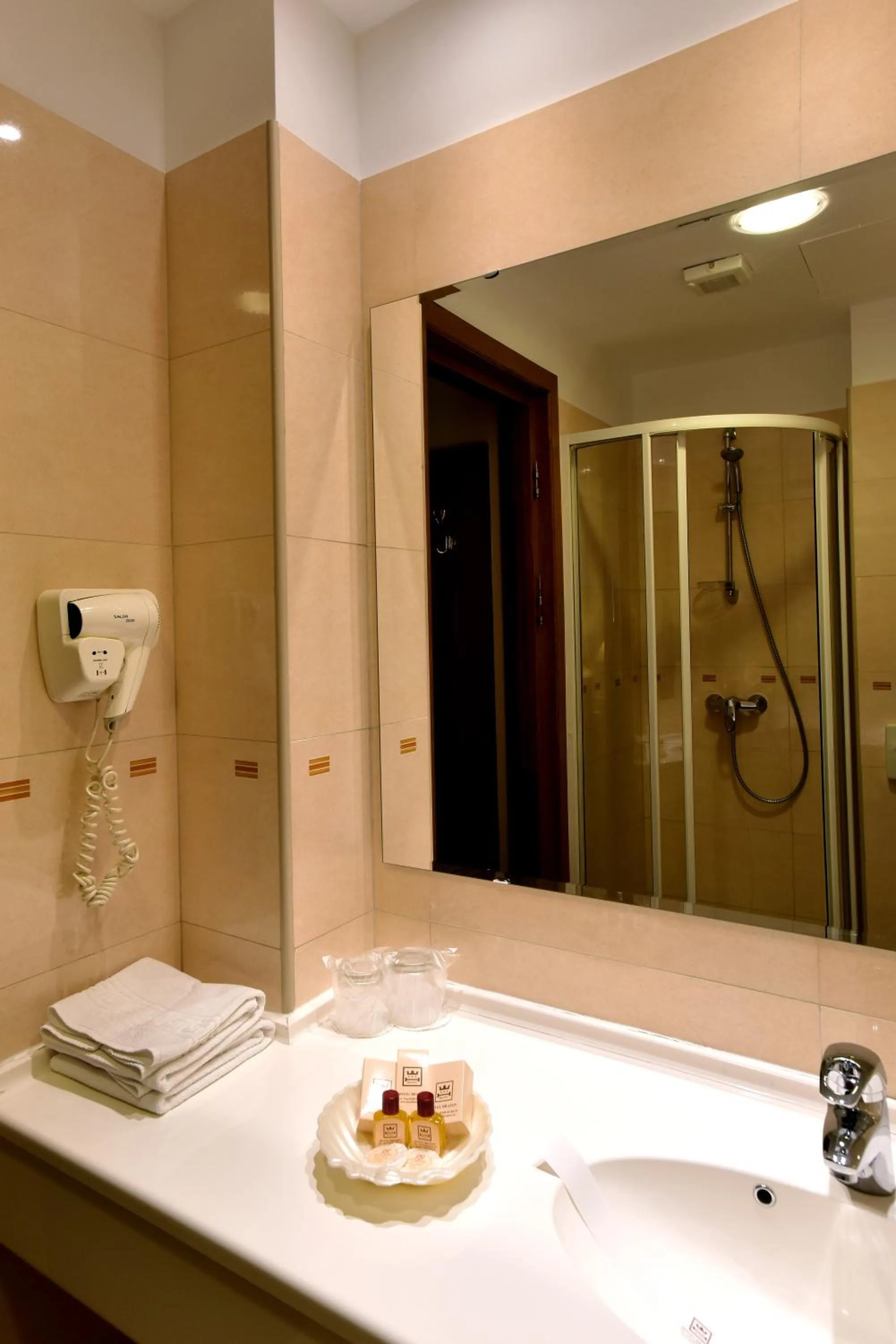 Shower in Hotel Brasov