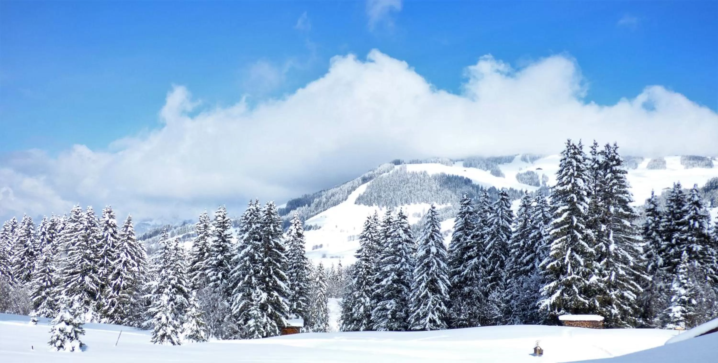 Natural landscape in Hôtel La Grange d'Arly