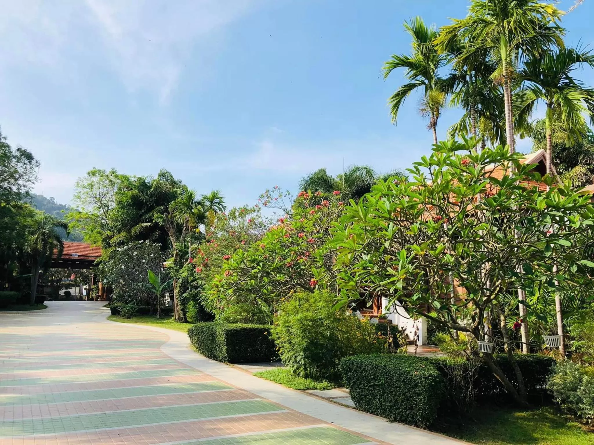 Garden in Try Palace Resort Kep