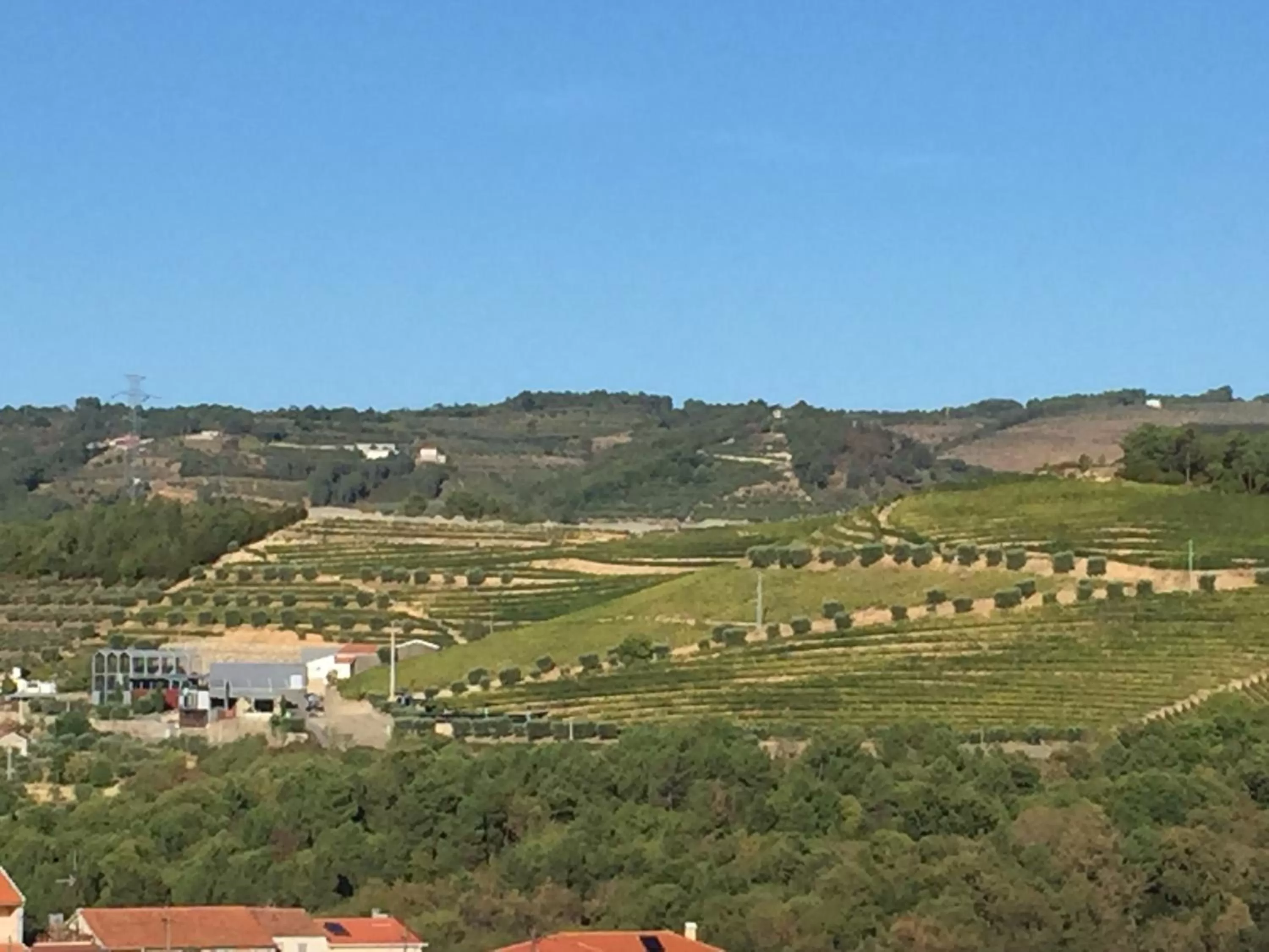 Landmark view, Bird's-eye View in Quinta da Vinha Morta