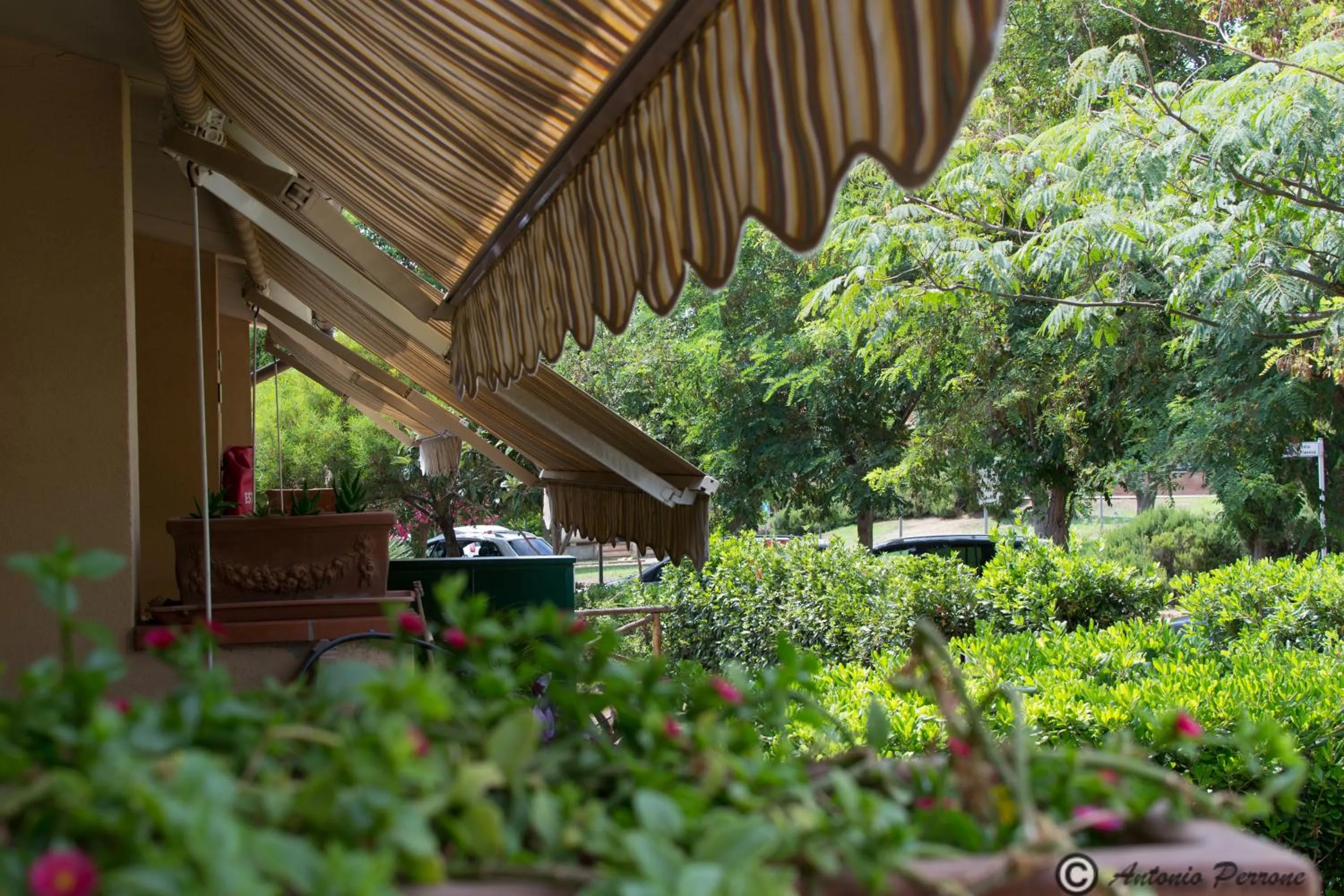 Garden in Villaggio Mare Si
