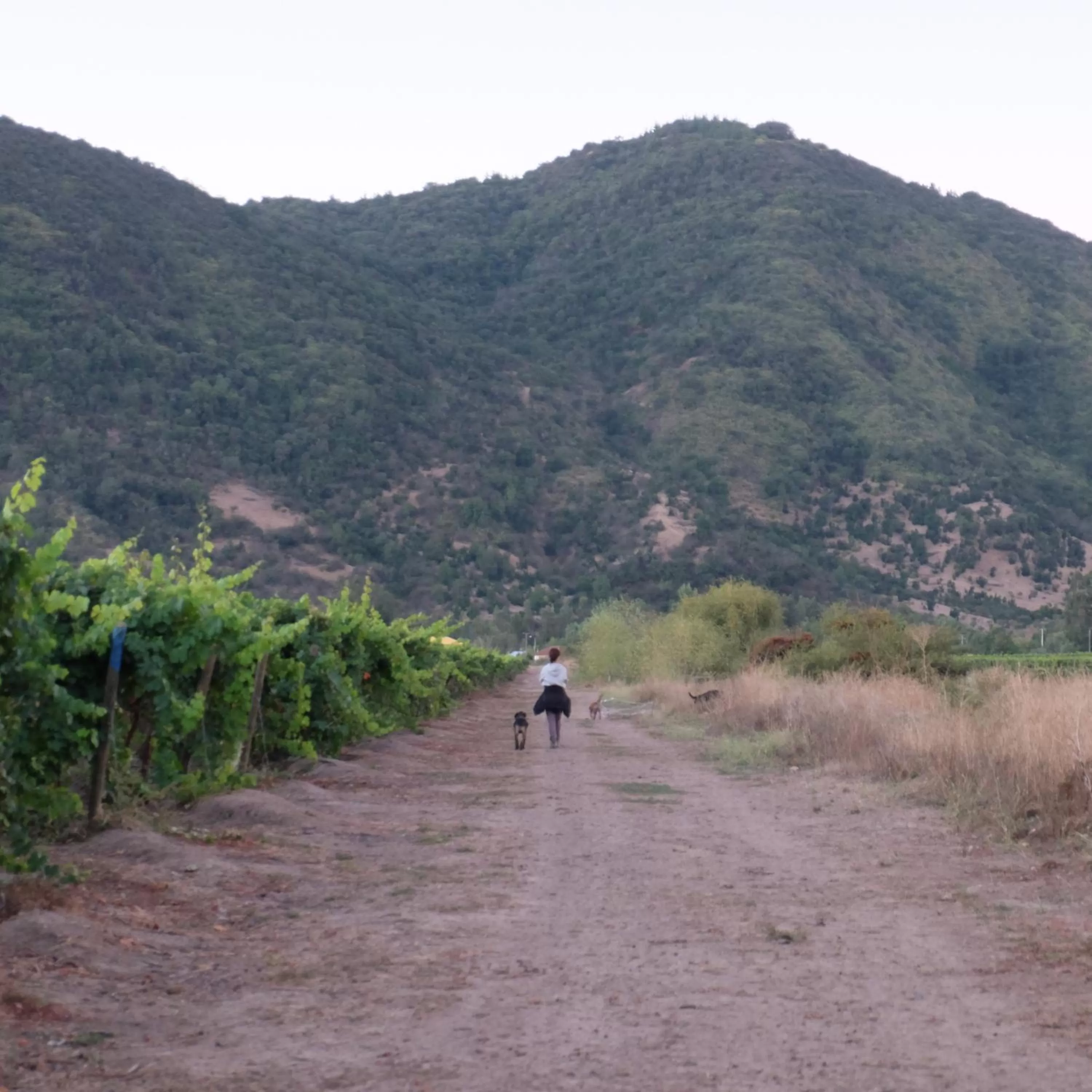 Off site in Callihue Lodge