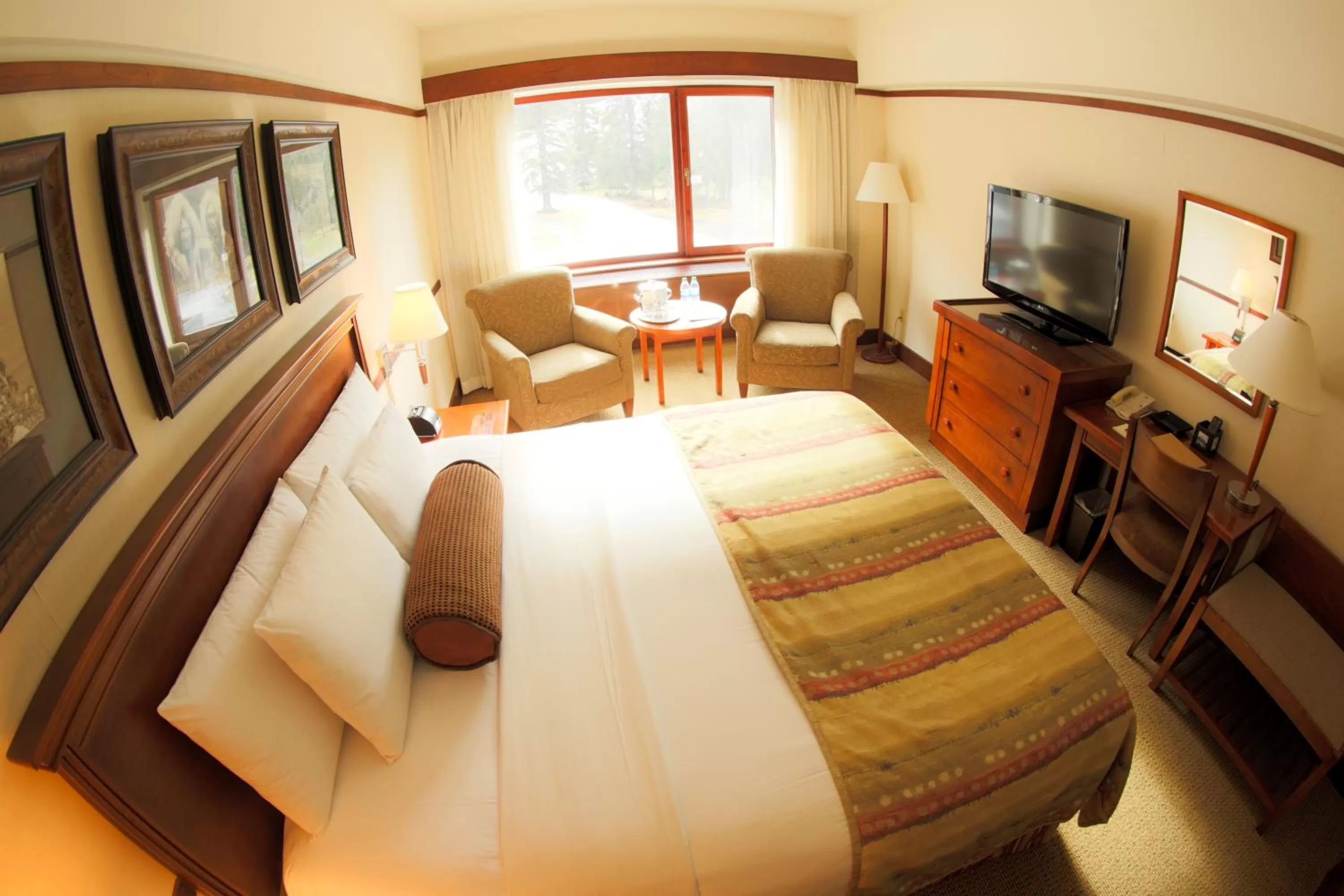 Day, Bed in Alyeska Resort