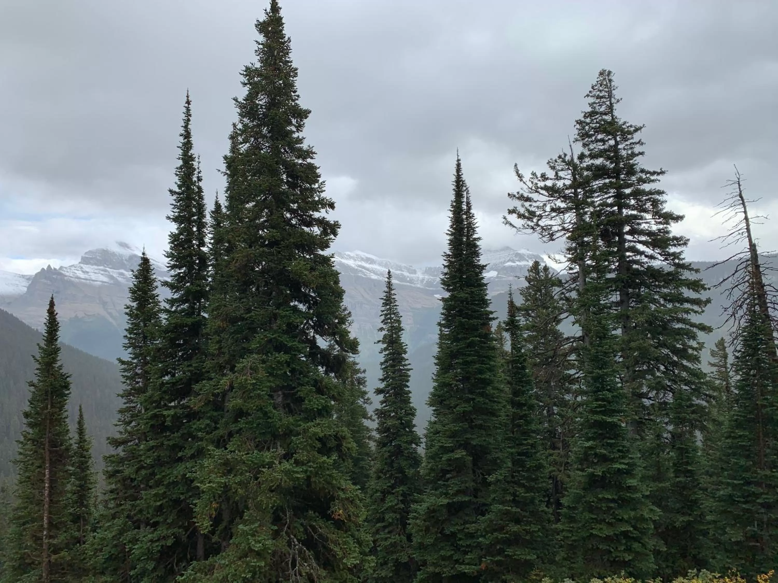 Natural landscape in Glacier Haven Inn