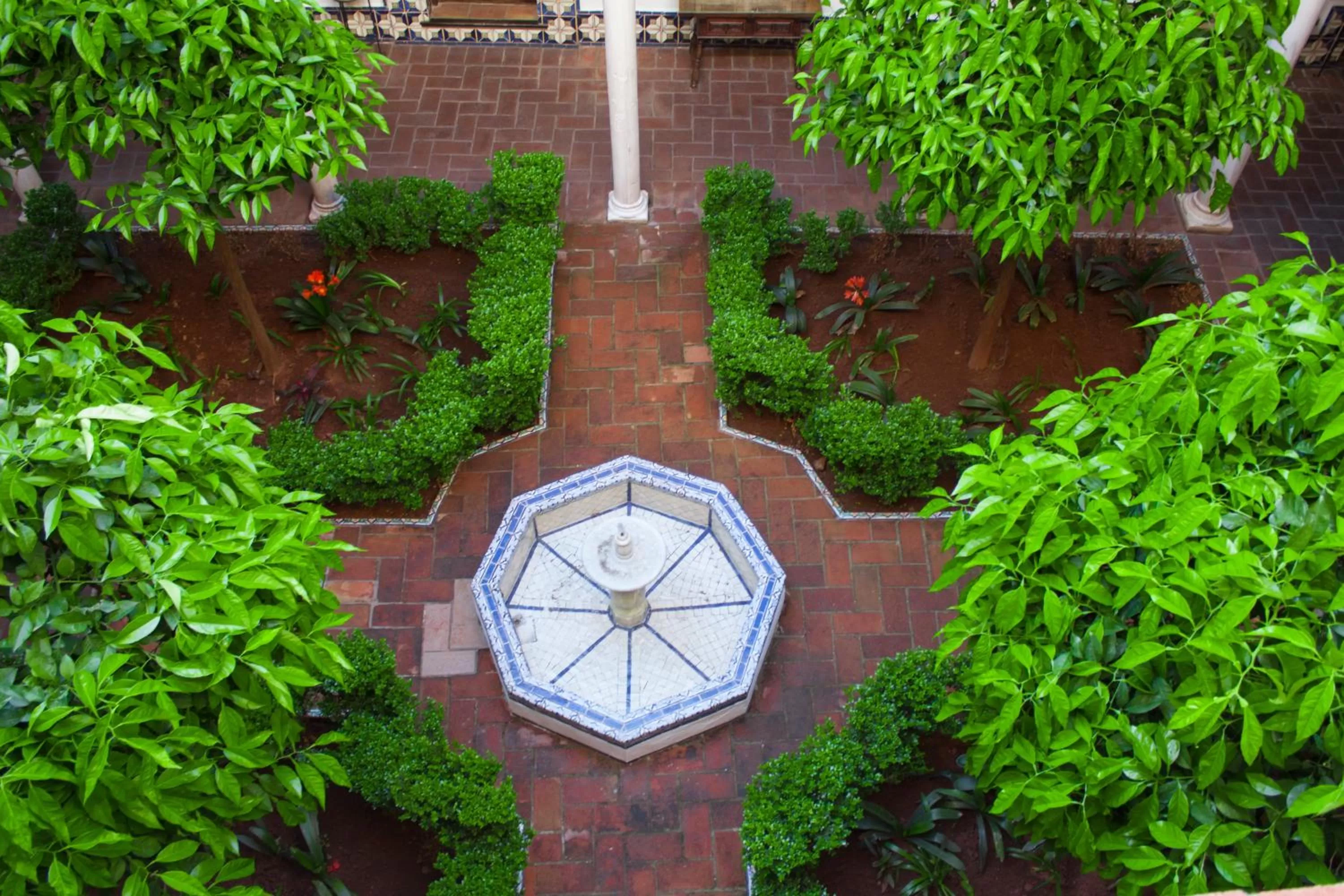Garden in Hotel Casa Imperial