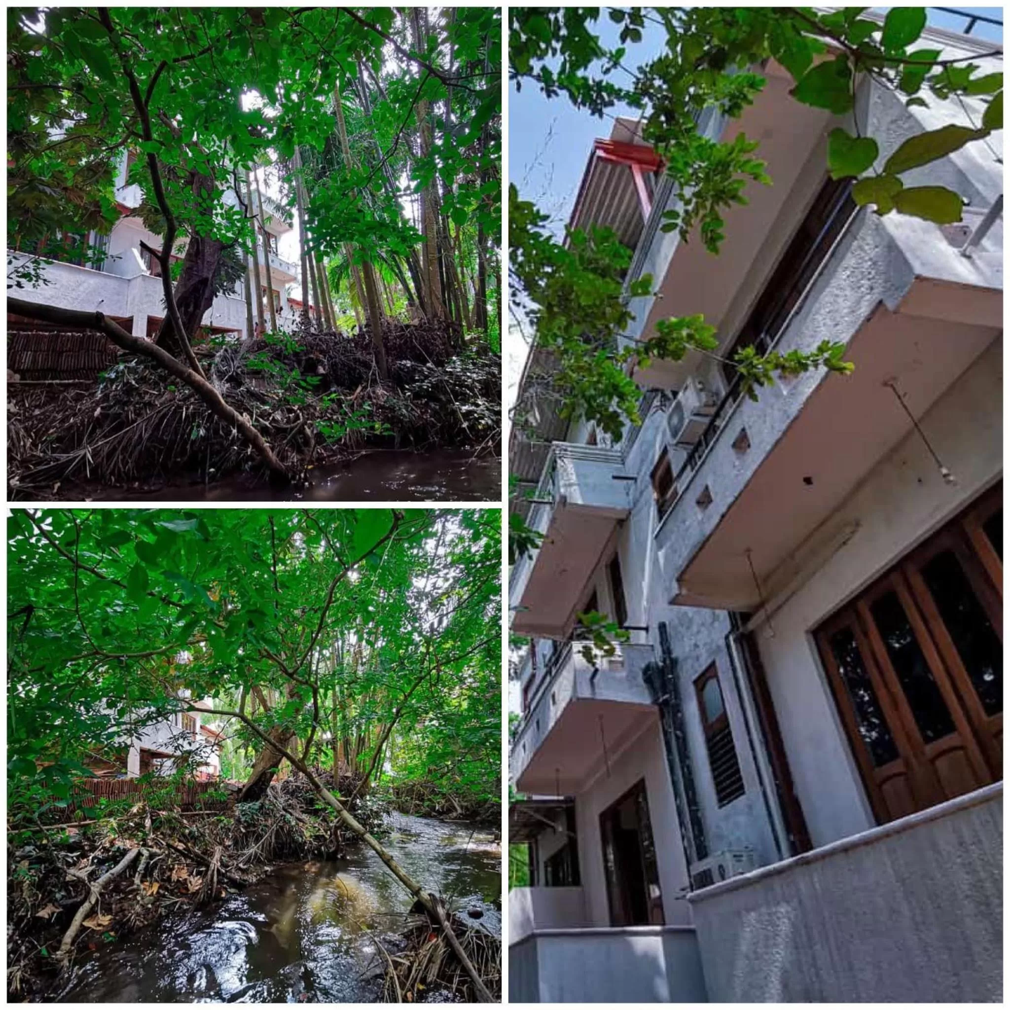 View (from property/room) in Divine Villa