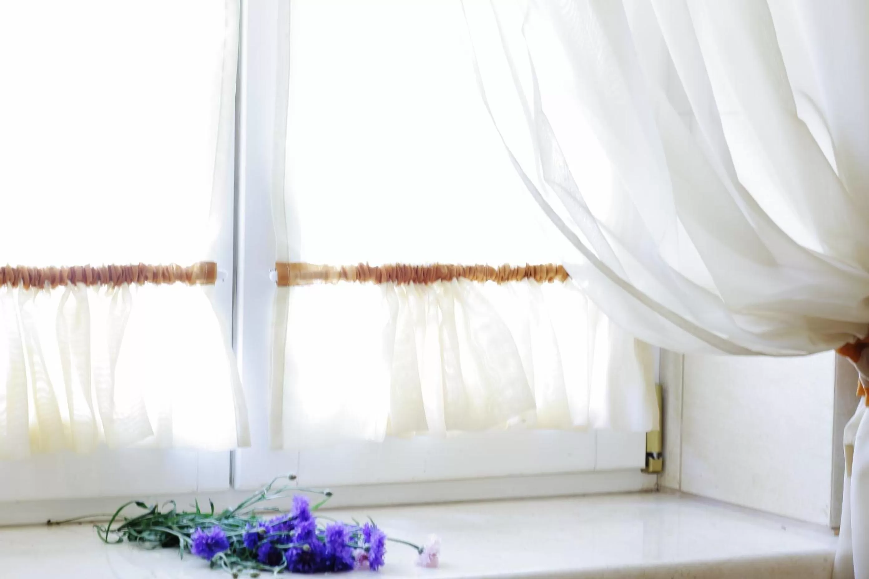 Other, Banquet Facilities in Mini-Hotel Under The Roof