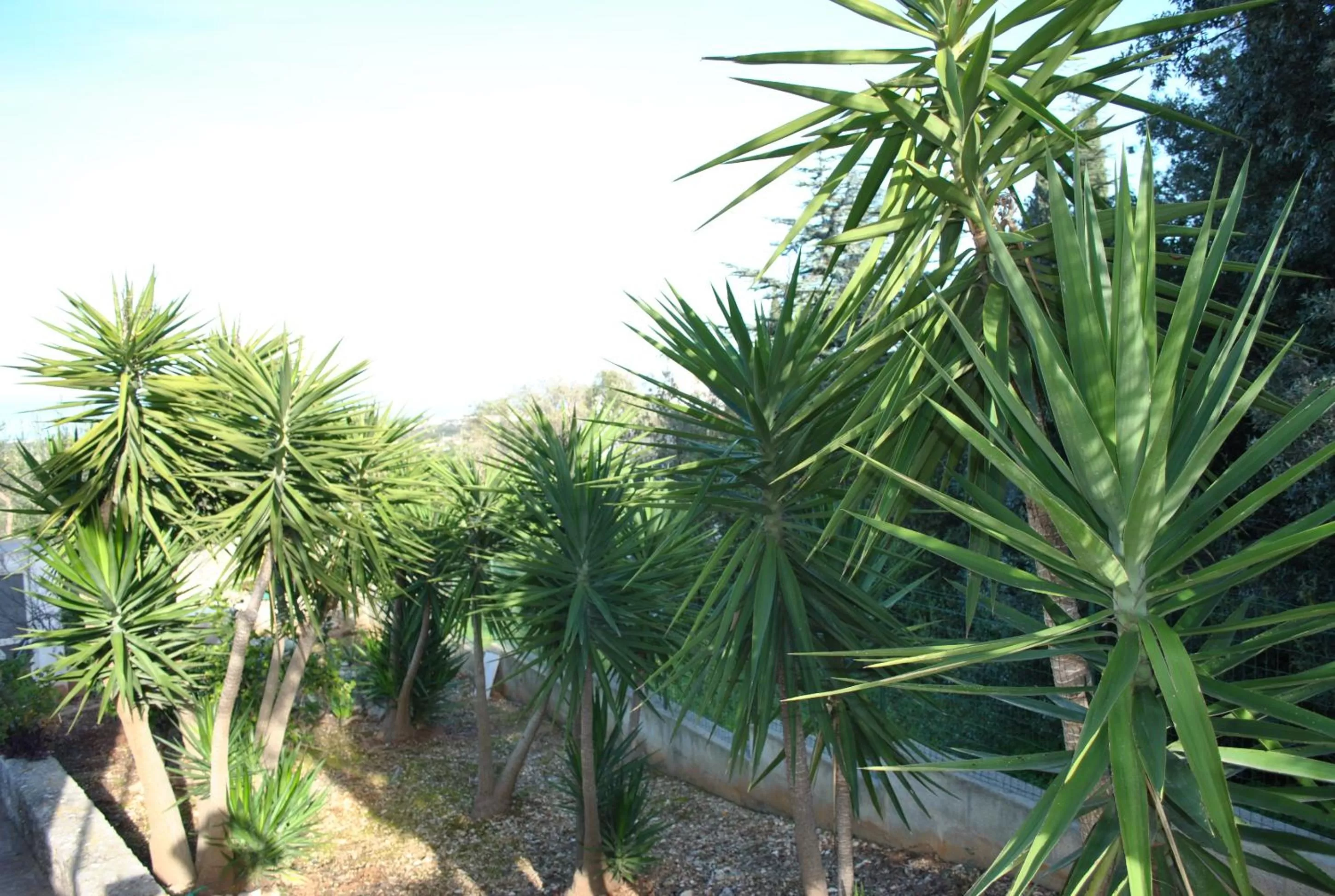 Le Dimore Del Sarto Polignano a mare