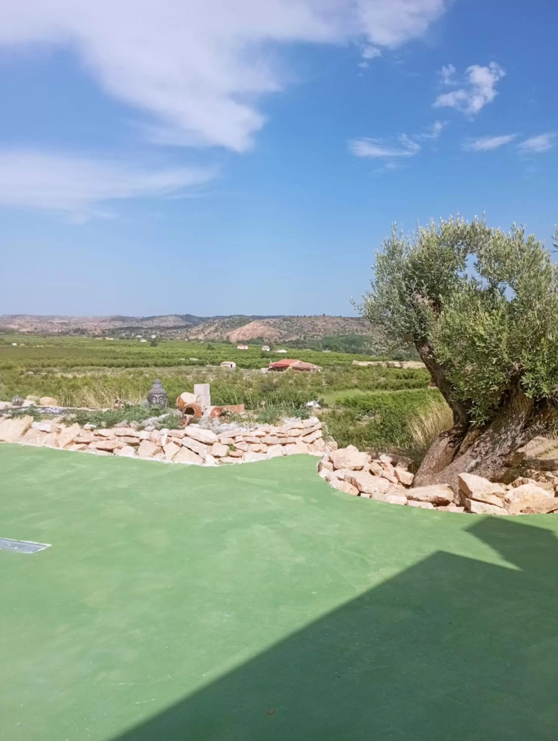 Day in Cabezo Buñuel Hostal