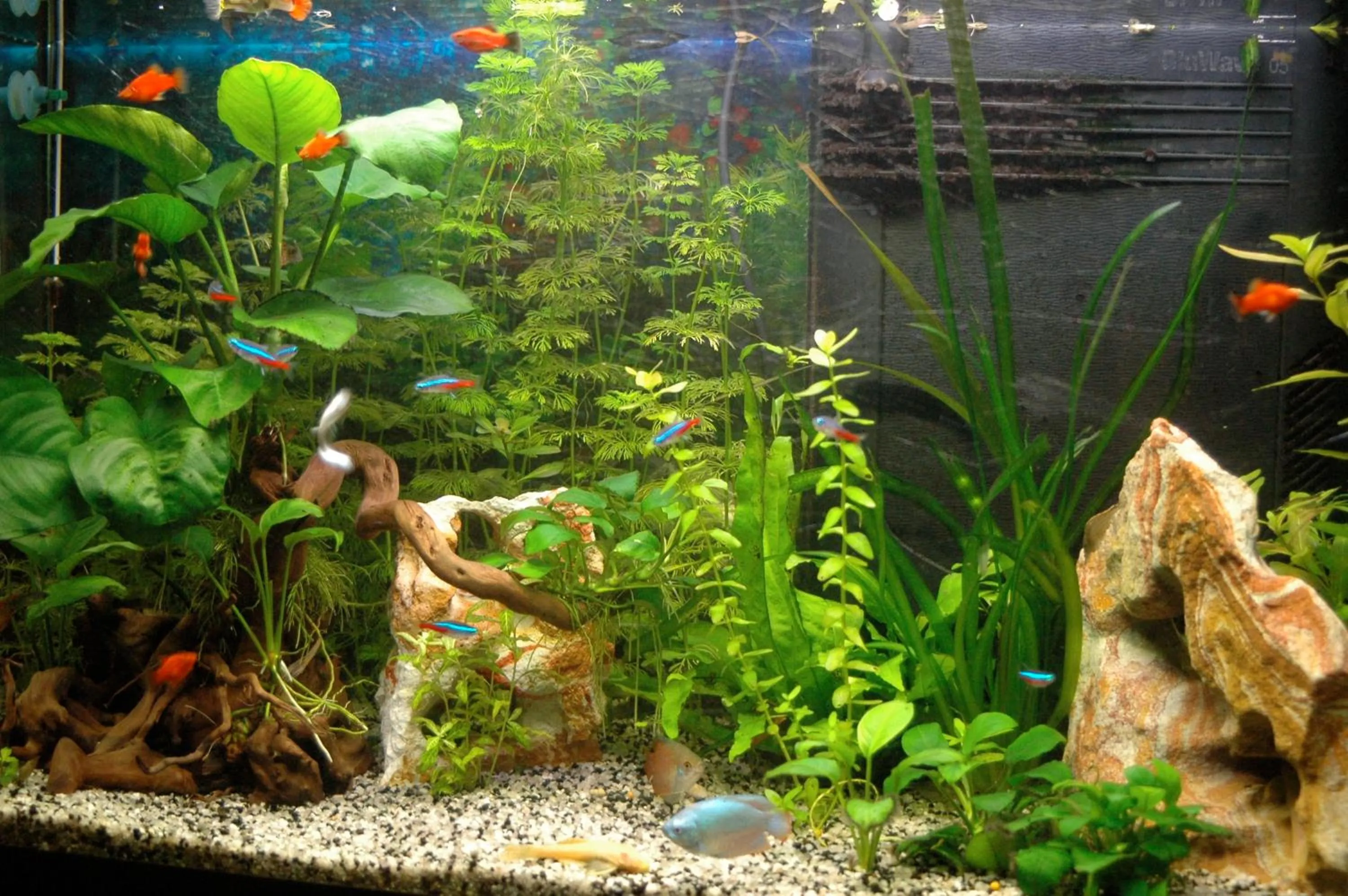 Other in Hotel Principe