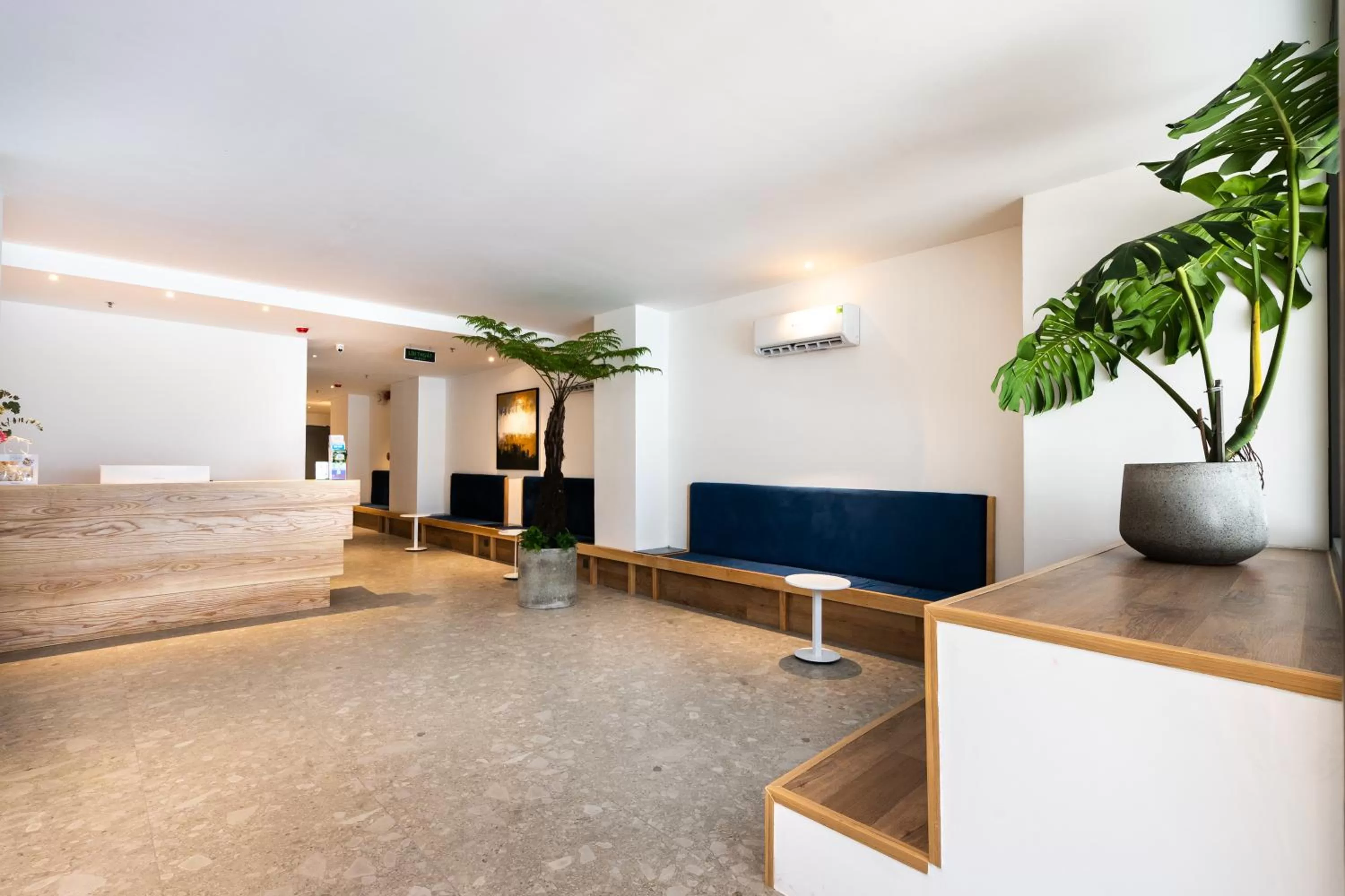 Lobby or reception in Haven Hut Hotel