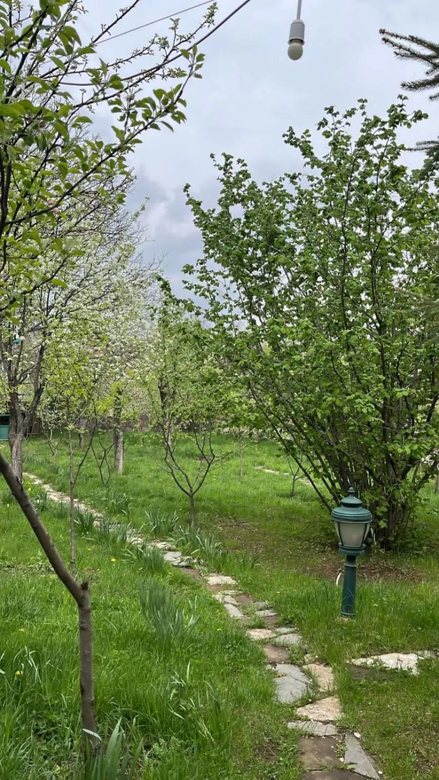 Garden in Dil Hill by Sam