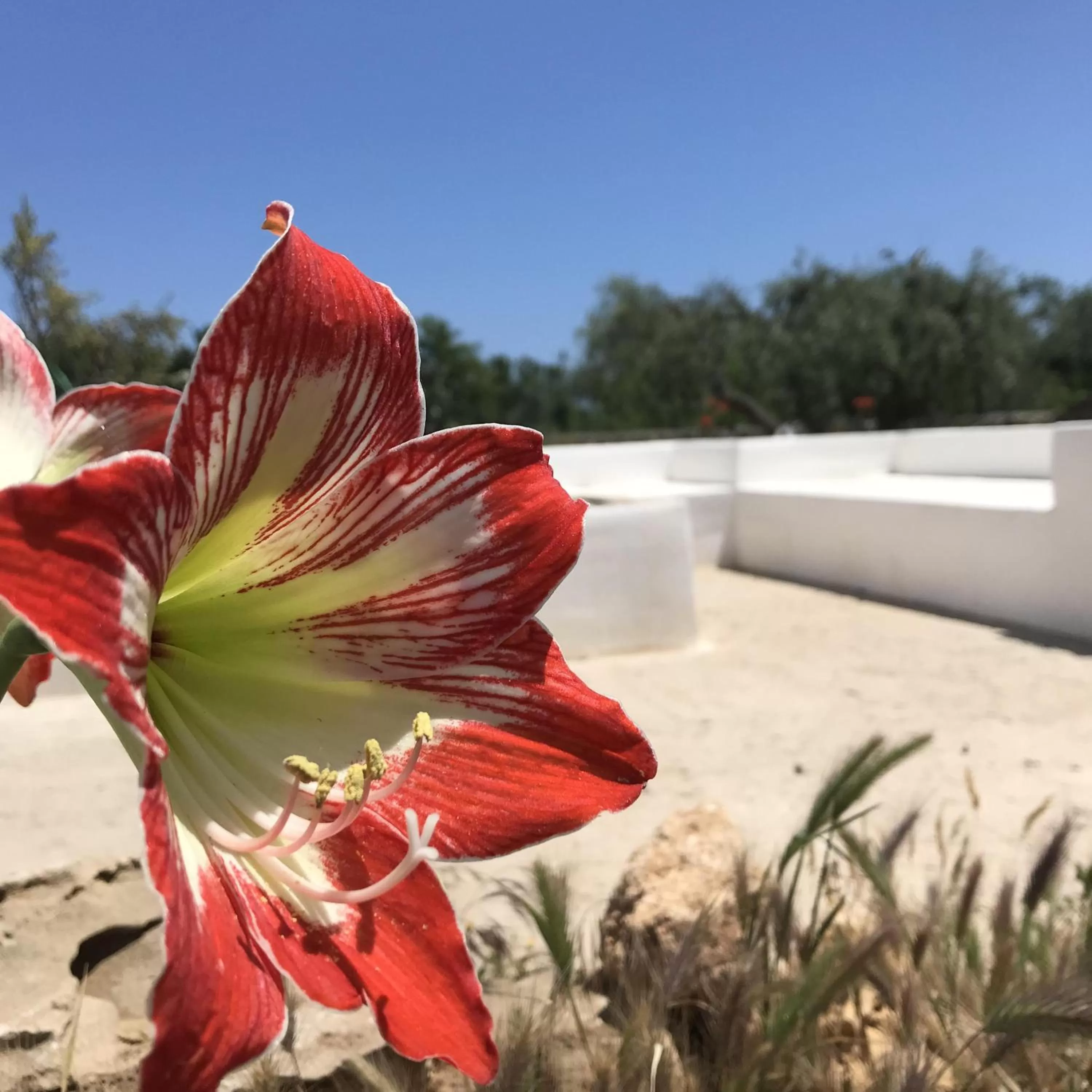 Property building in CasapiuHolidaySicilia-Adults Only