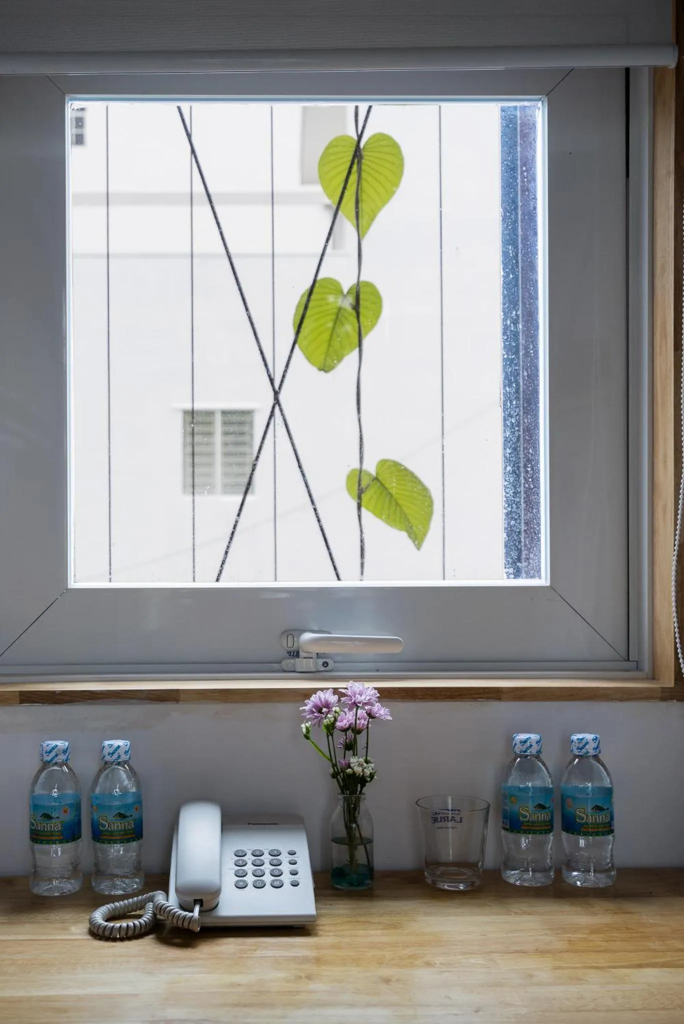 Garden view in Ccasa Hostel