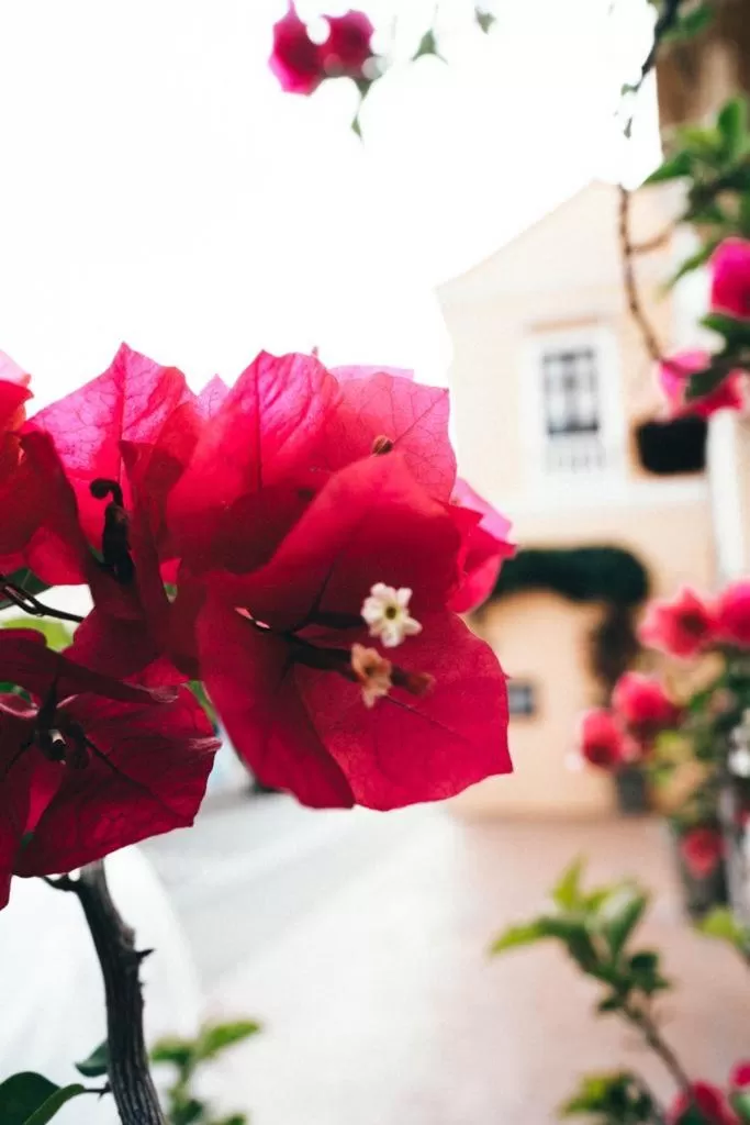 Neos Hotel Cartagena