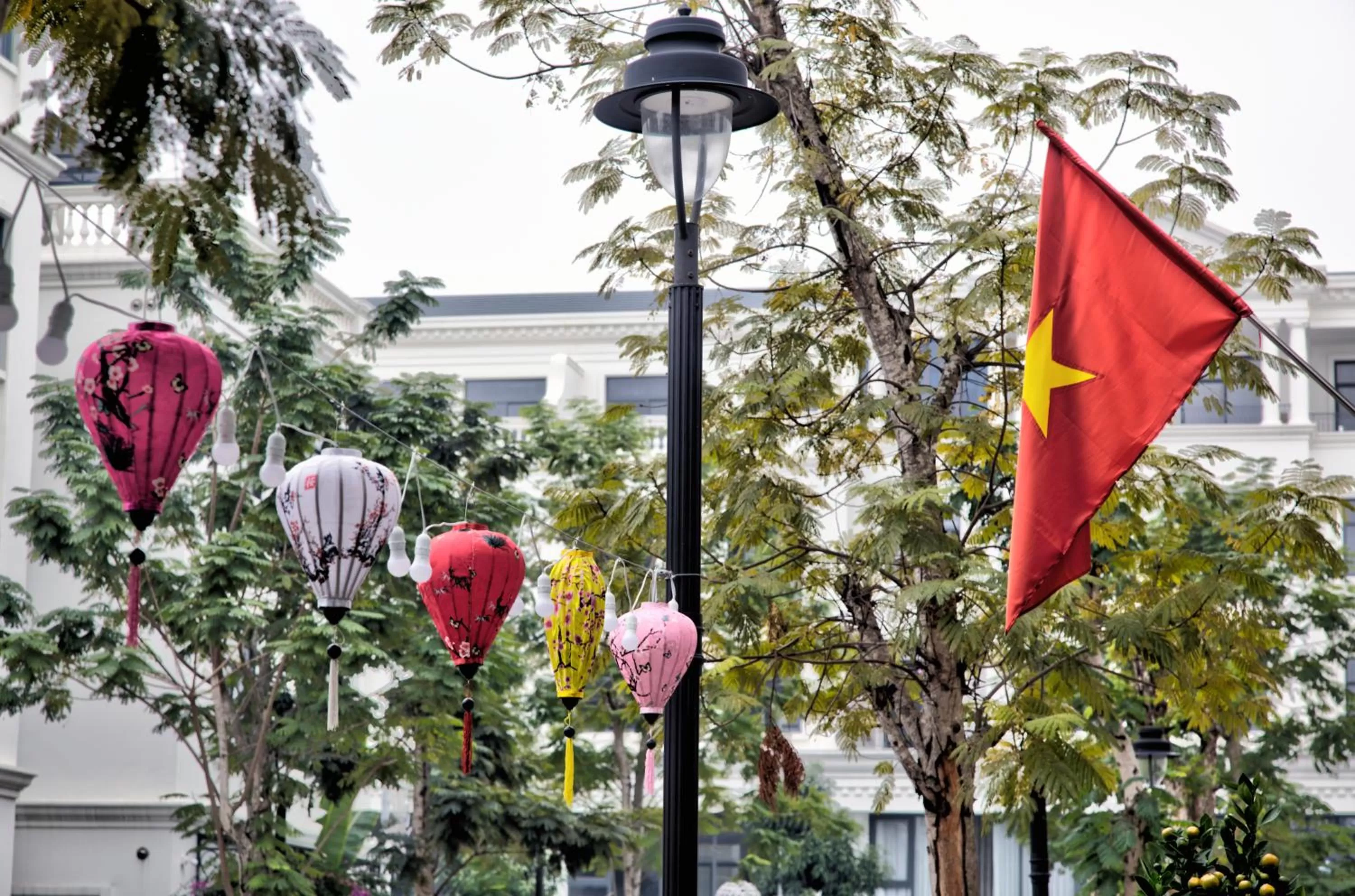 Property building in The Flamboyant #StayWork Vinhomes Marina