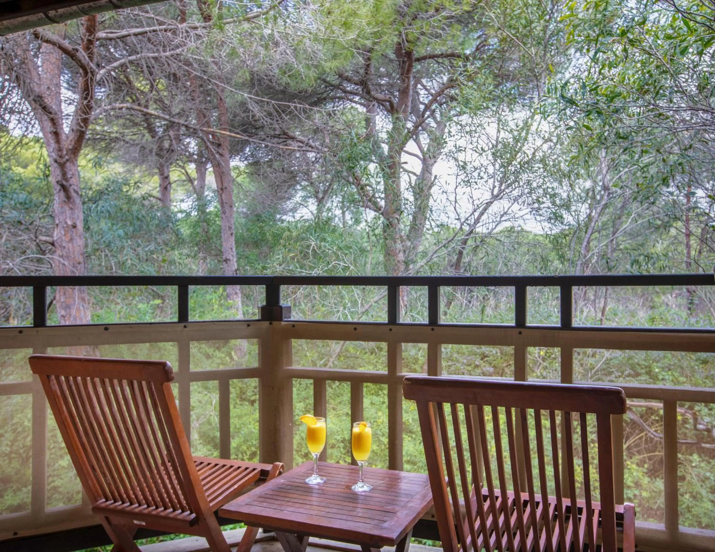 View (from property/room) in Asteria Family Resort Belek