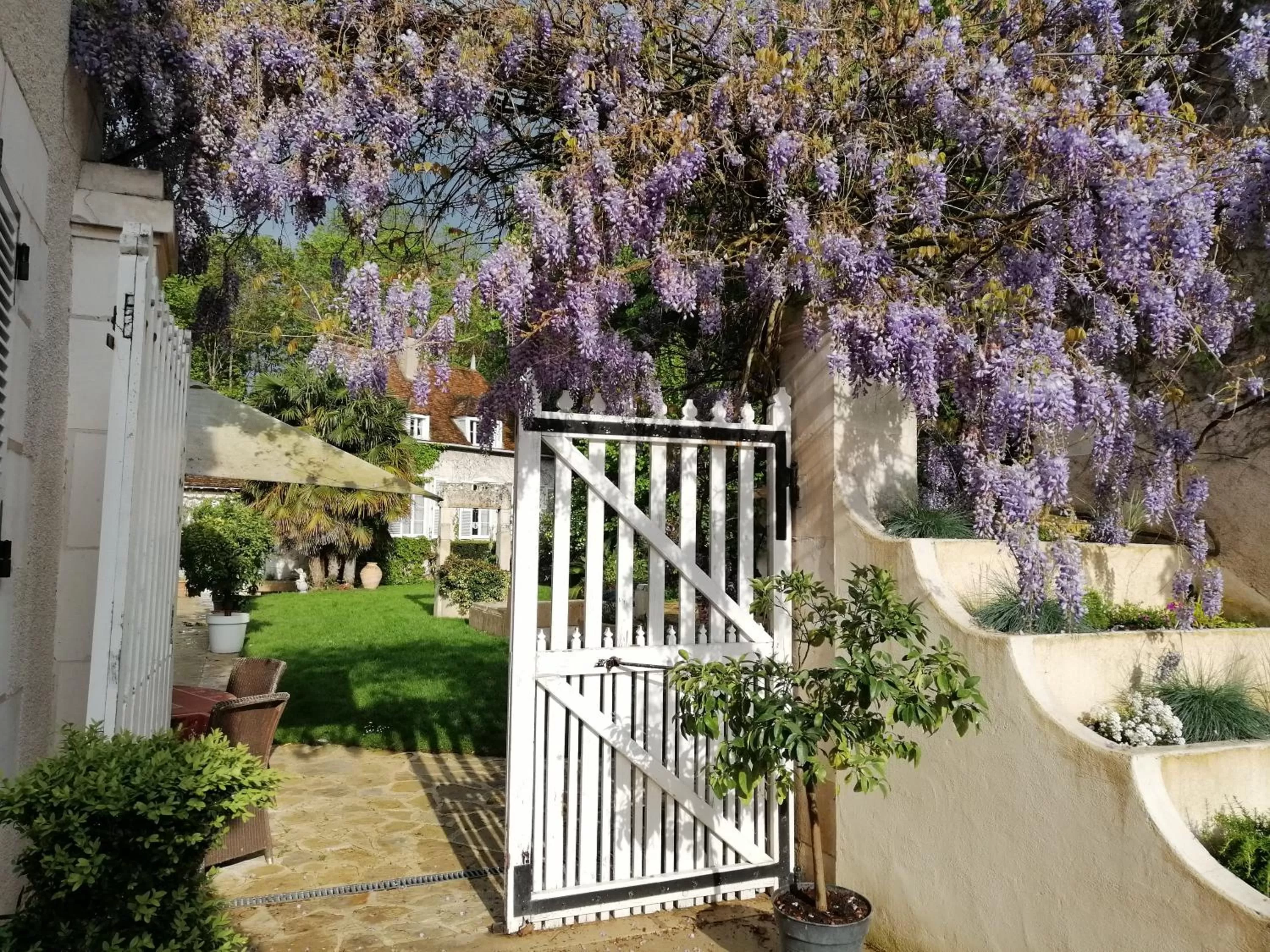 Garden in Chambres et Tables d'hôtes du Puits d'Athie