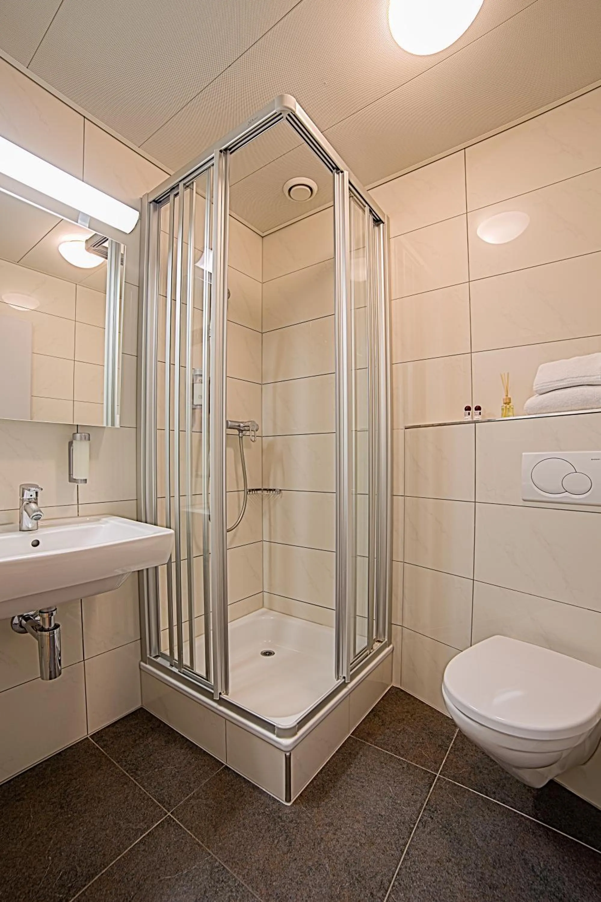 Single Room in Hotel Sursee