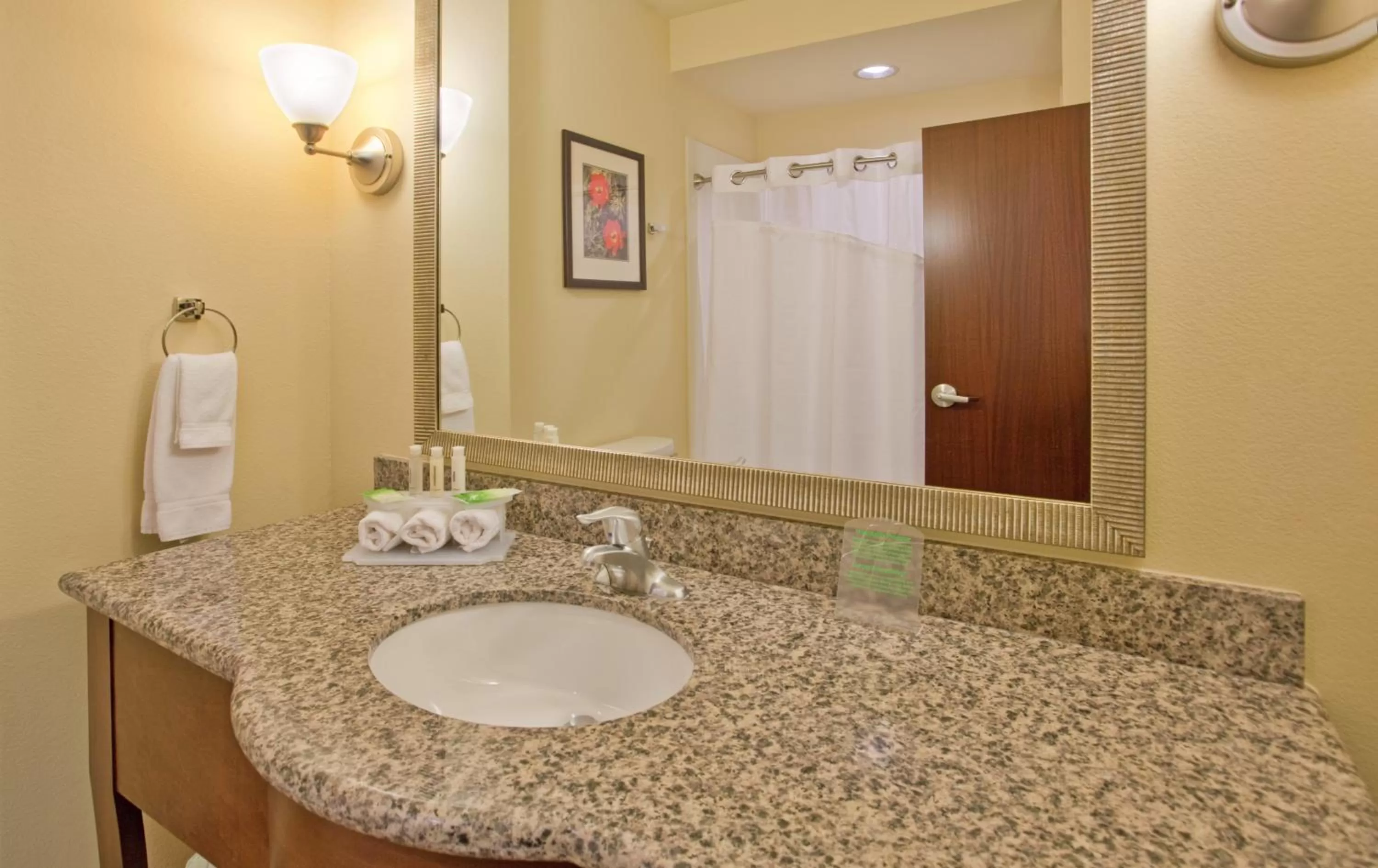 Bathroom in Holiday Inn Express & Suites Gallup East by IHG