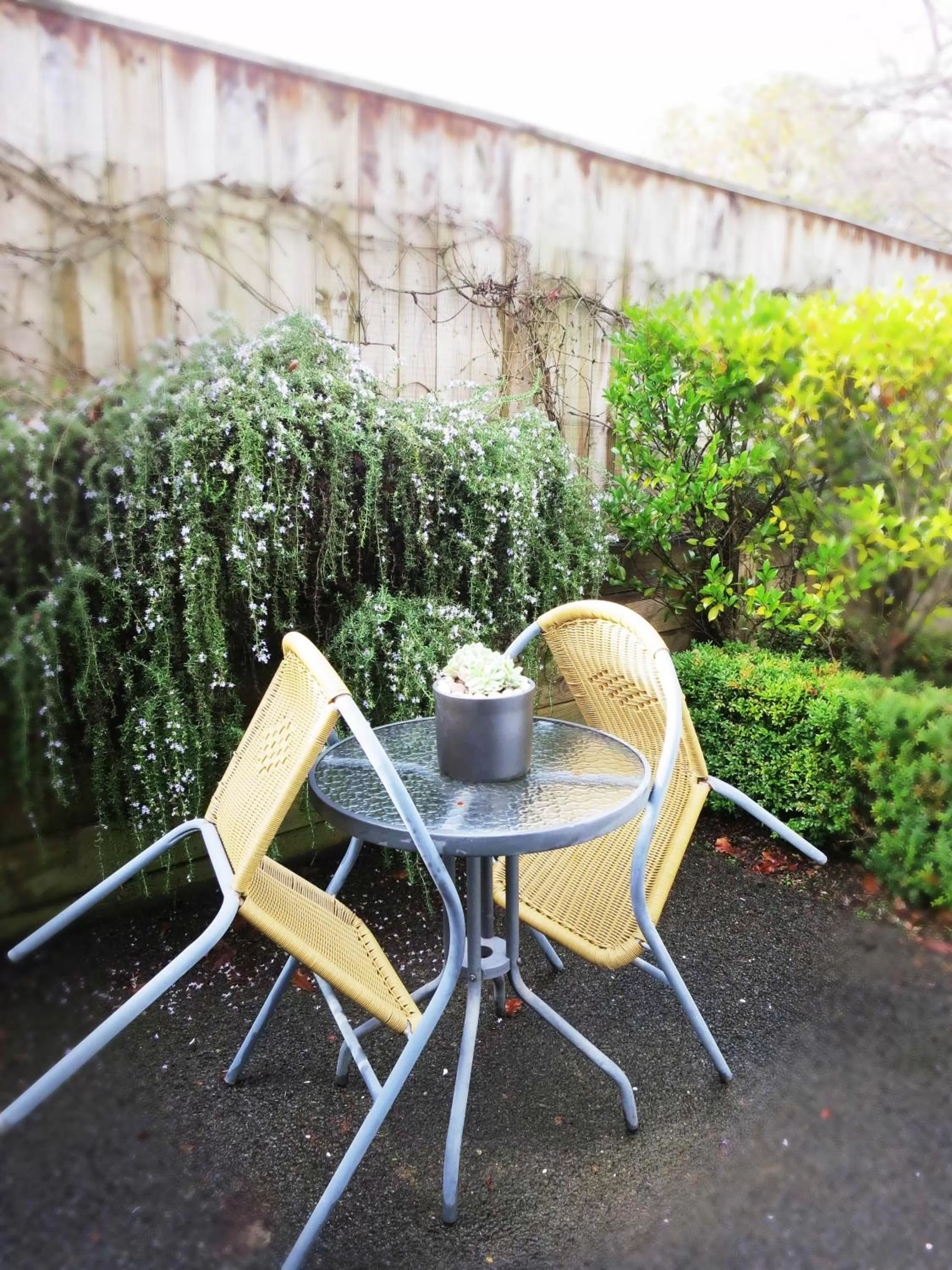 ASURE Ascot Motor Inn