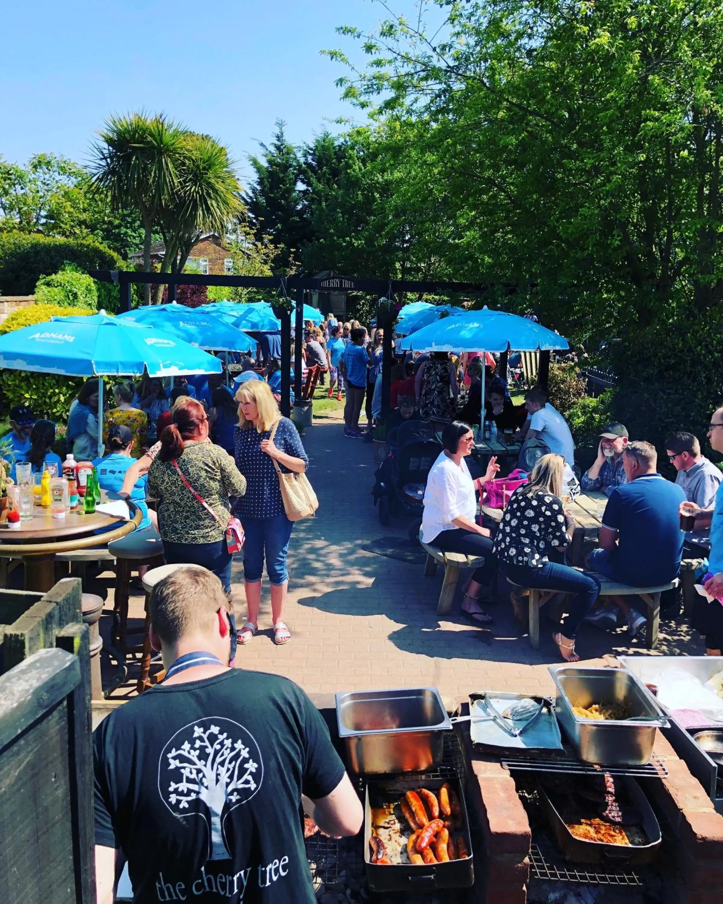 Garden in The Cherry Tree