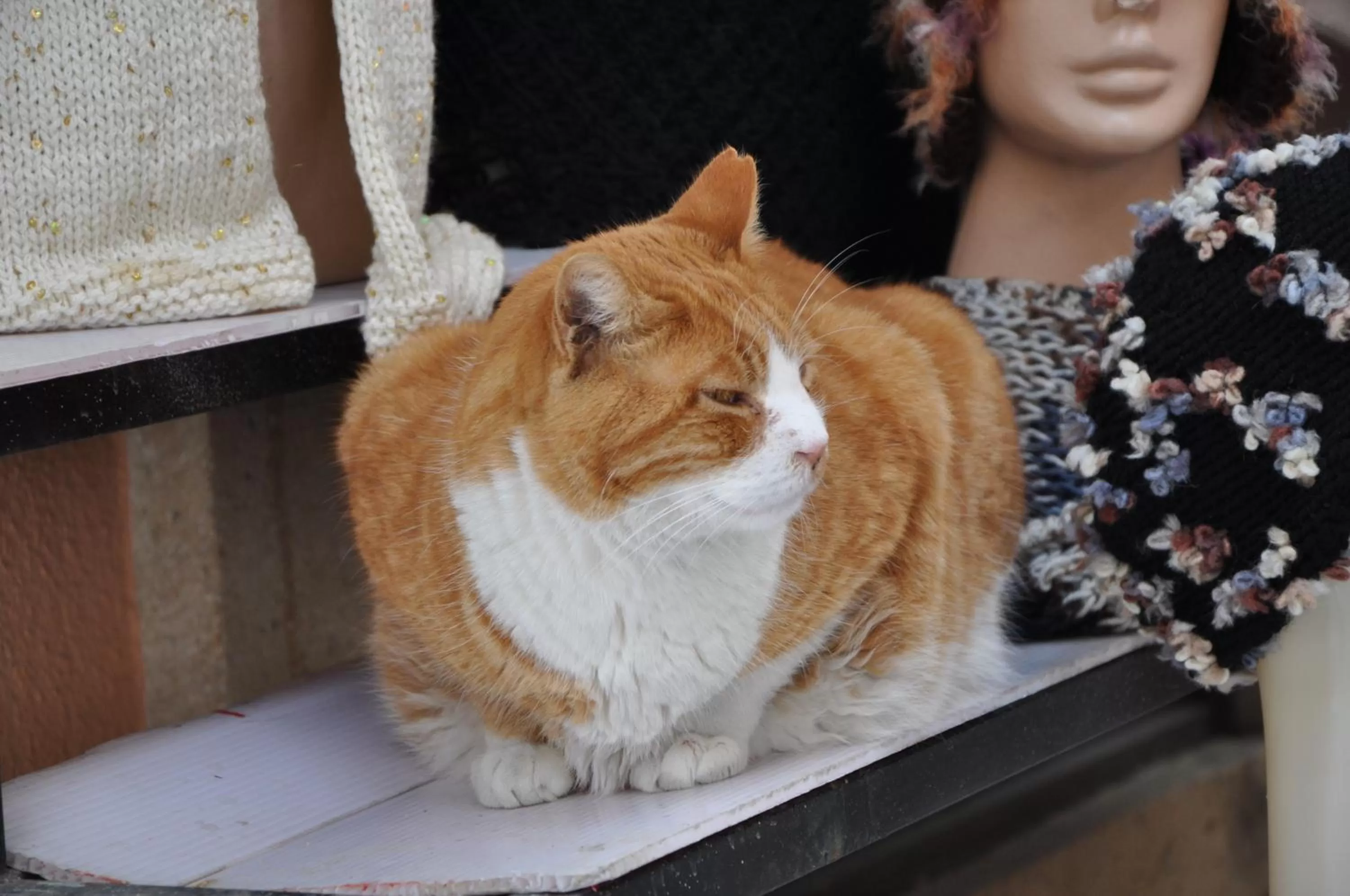 People in Sakran Hotel