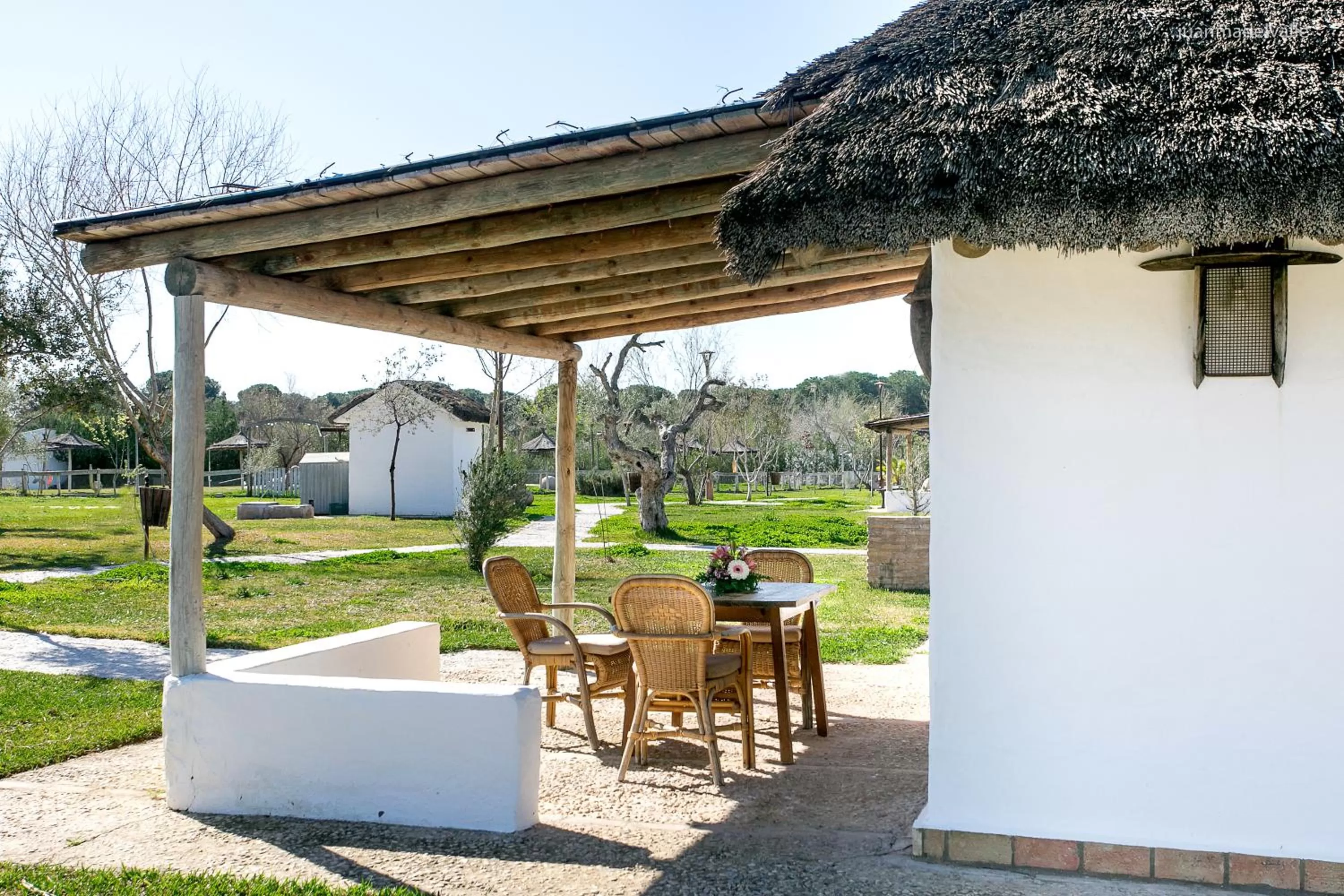 Garden in Ardea Purpurea