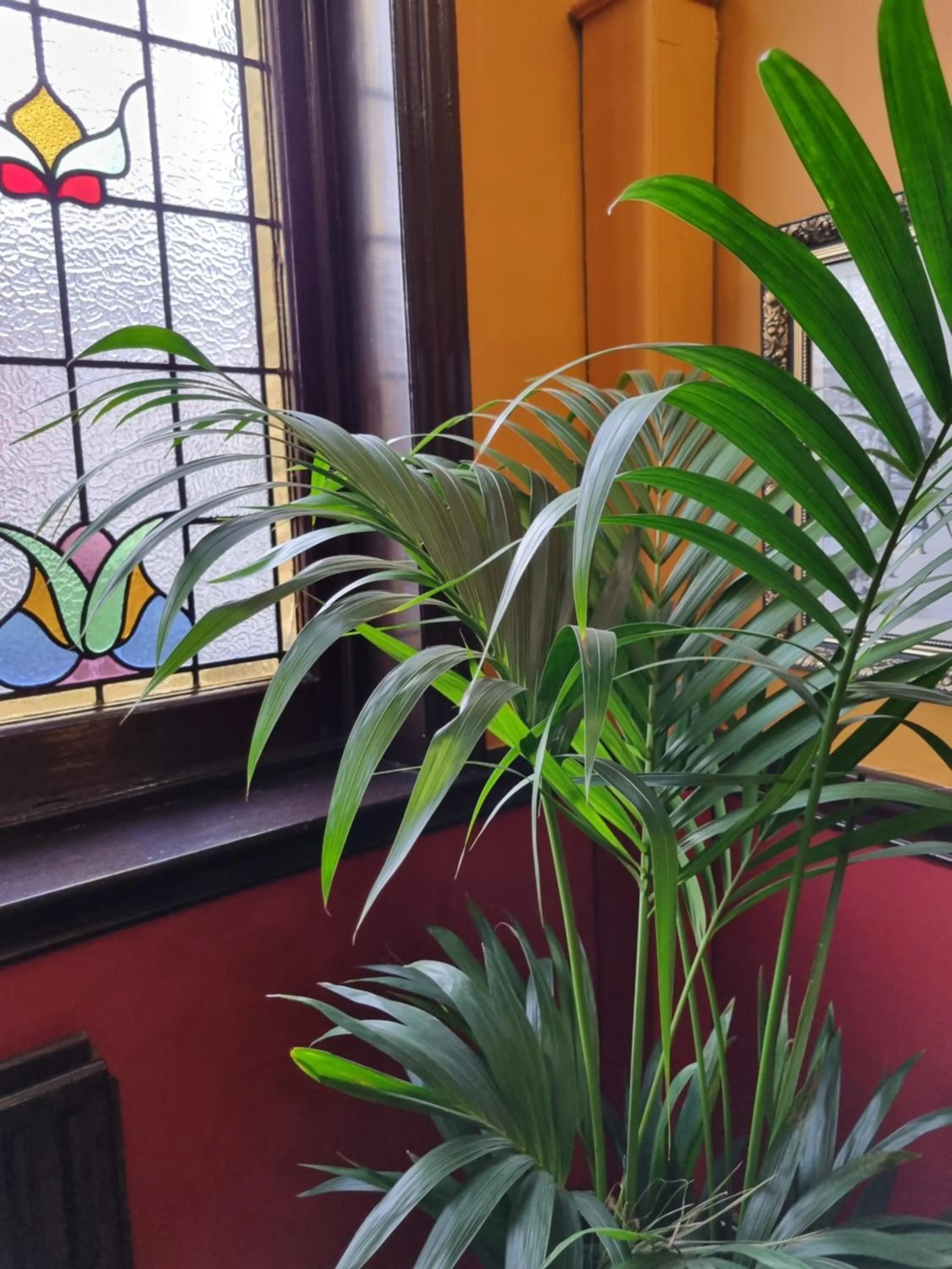 Property building in The Windmill Hotel