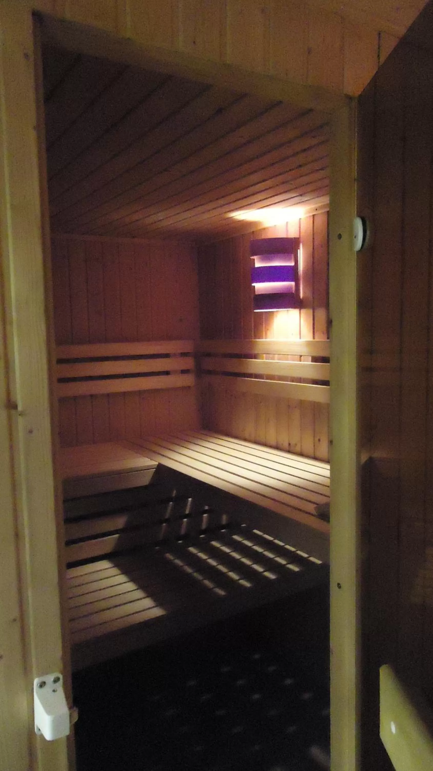 Spa and wellness centre/facilities in Hotel Fortuna