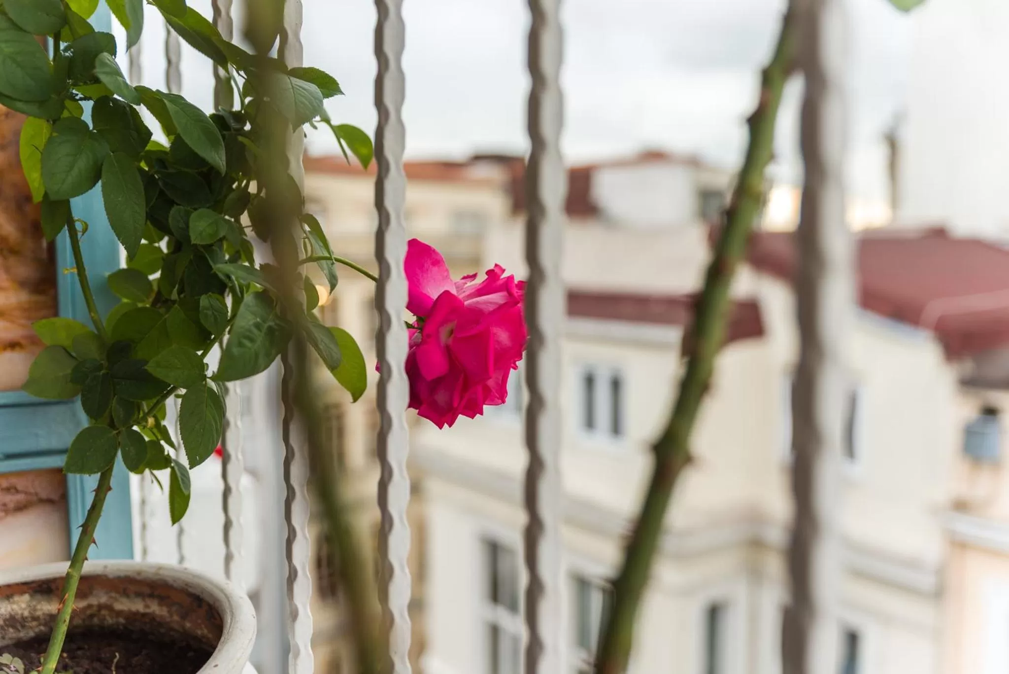 Balcony/Terrace in Ragip Pasha Apartments