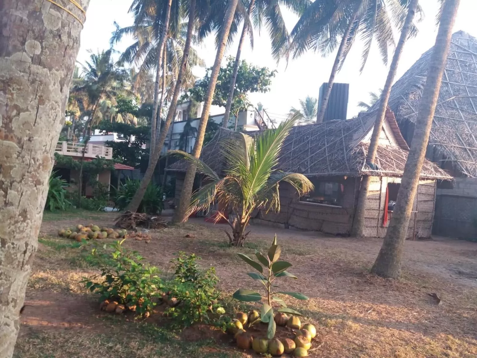 Restaurant/places to eat, Garden in Sukriti beach Resort