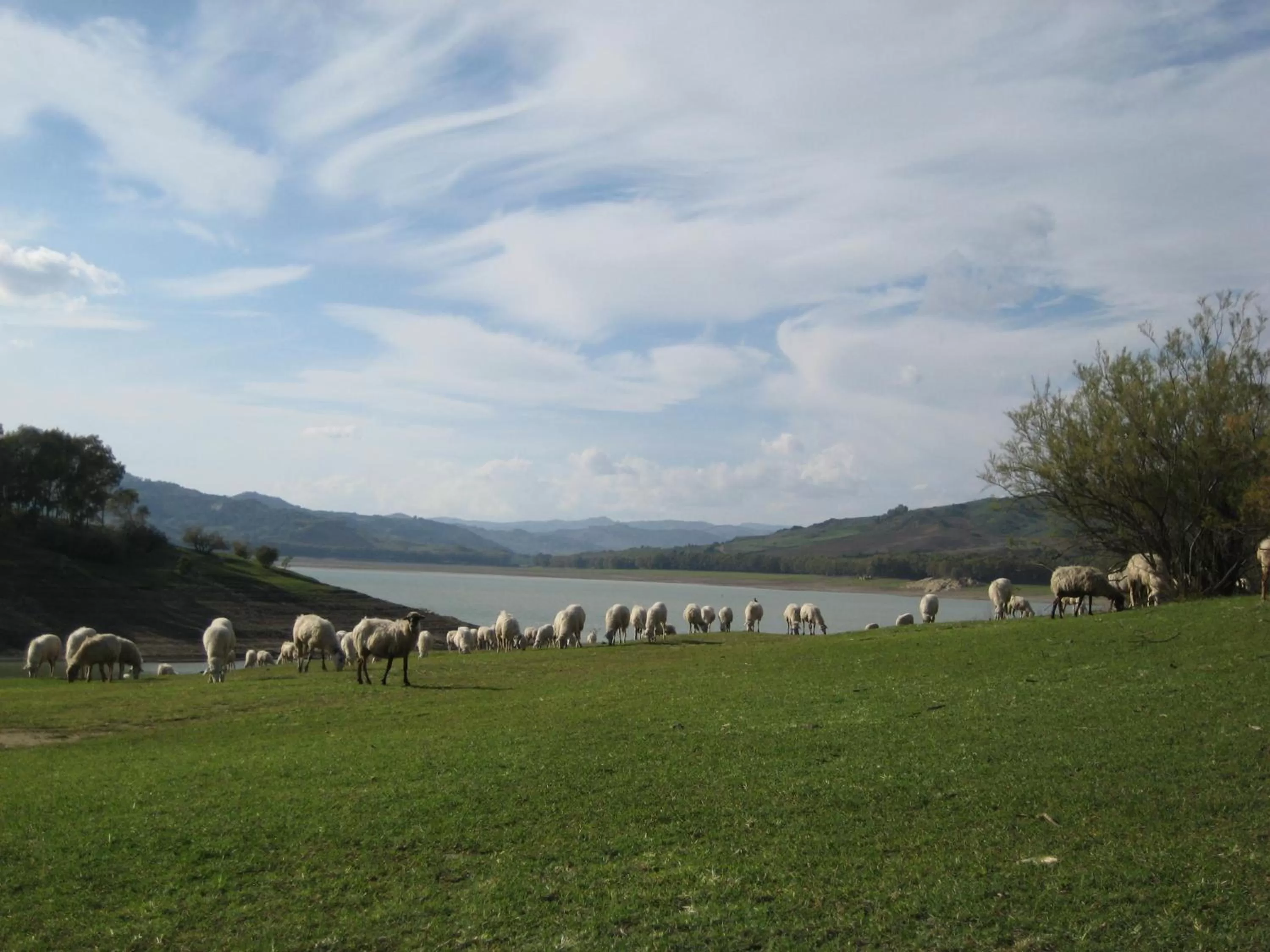 Natural landscape in Oasi del Lago