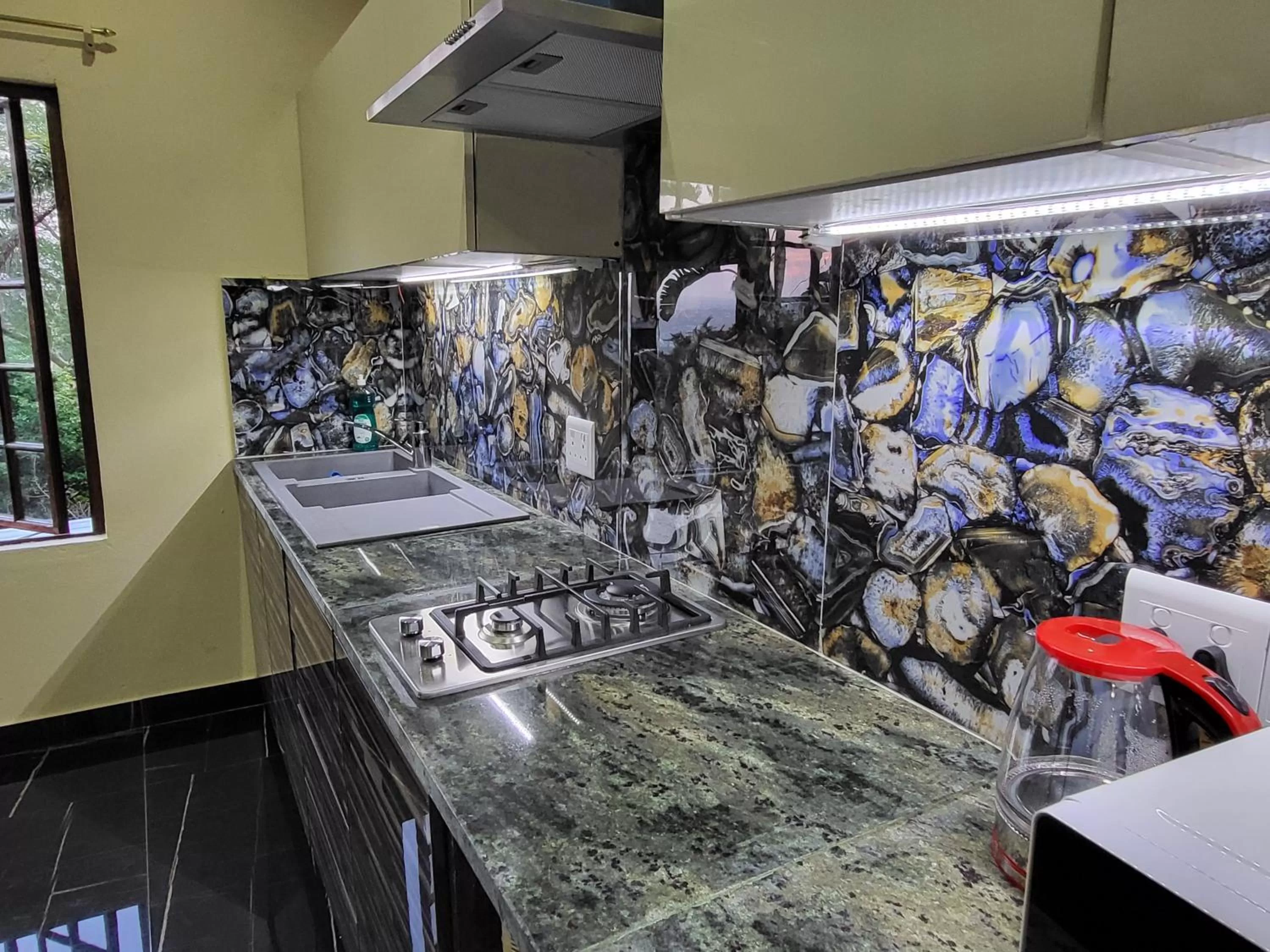 Kitchen or kitchenette in Gem of Manor drive