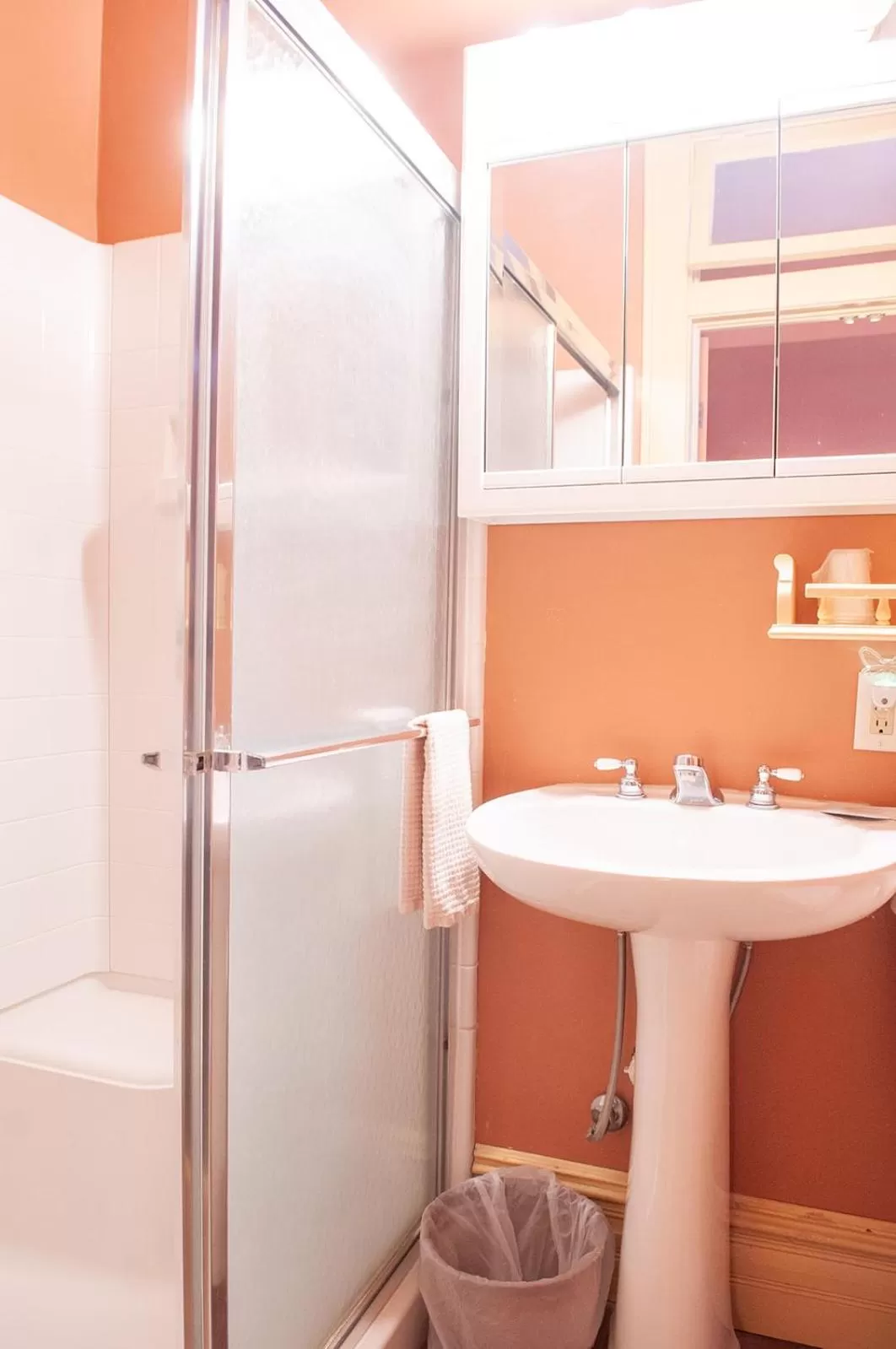 Shower in The Historic Wolf Hotel