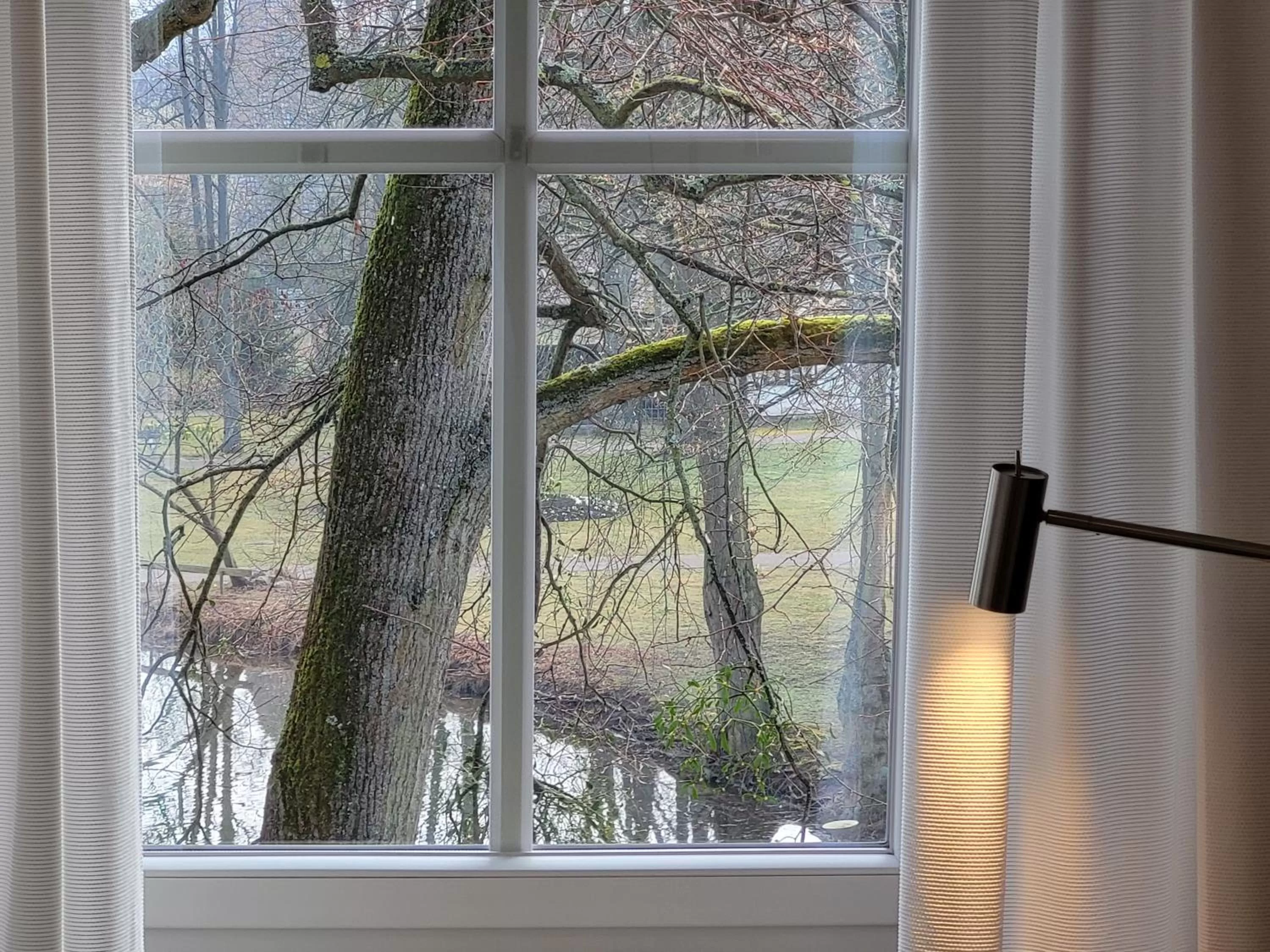 Garden view, View in Parkhotel Am Schwanenteich